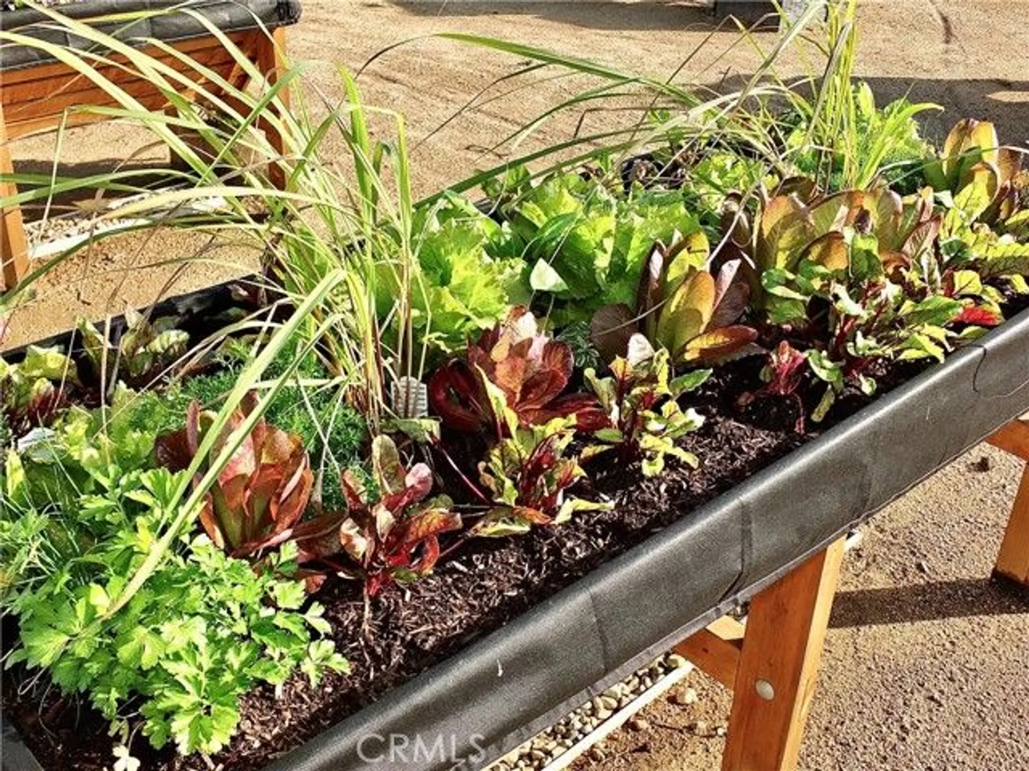 Property Slideshow image 62 of 66 | 1891 mckinney way apt 26b, Seal Beach, CA, 90740