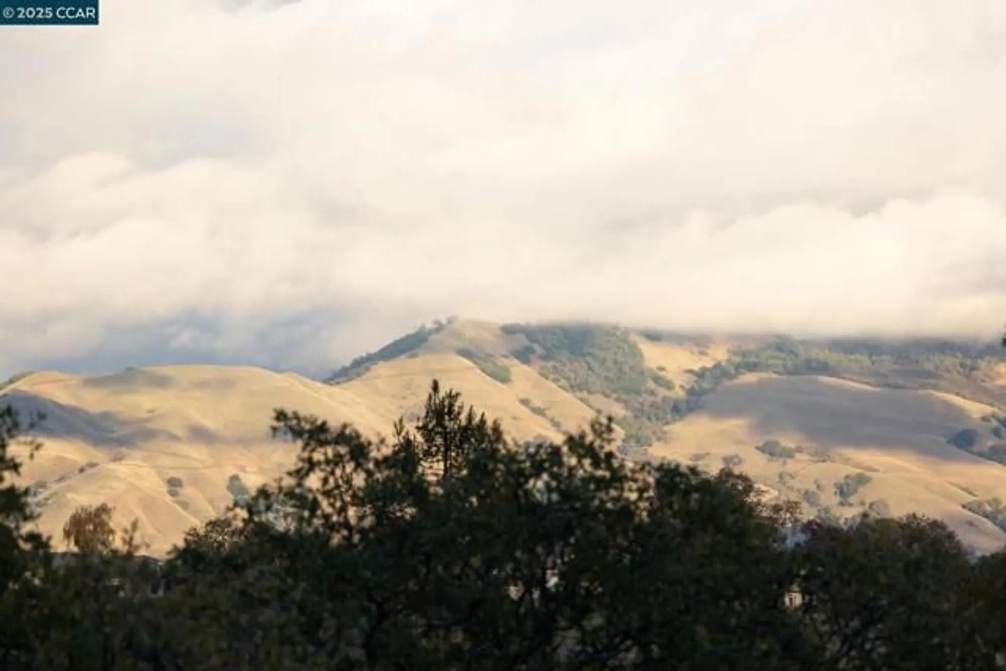 Property Slideshow image 36 of 57 | 3535 terra granada dr 1b, Walnut Creek, CA, 94595