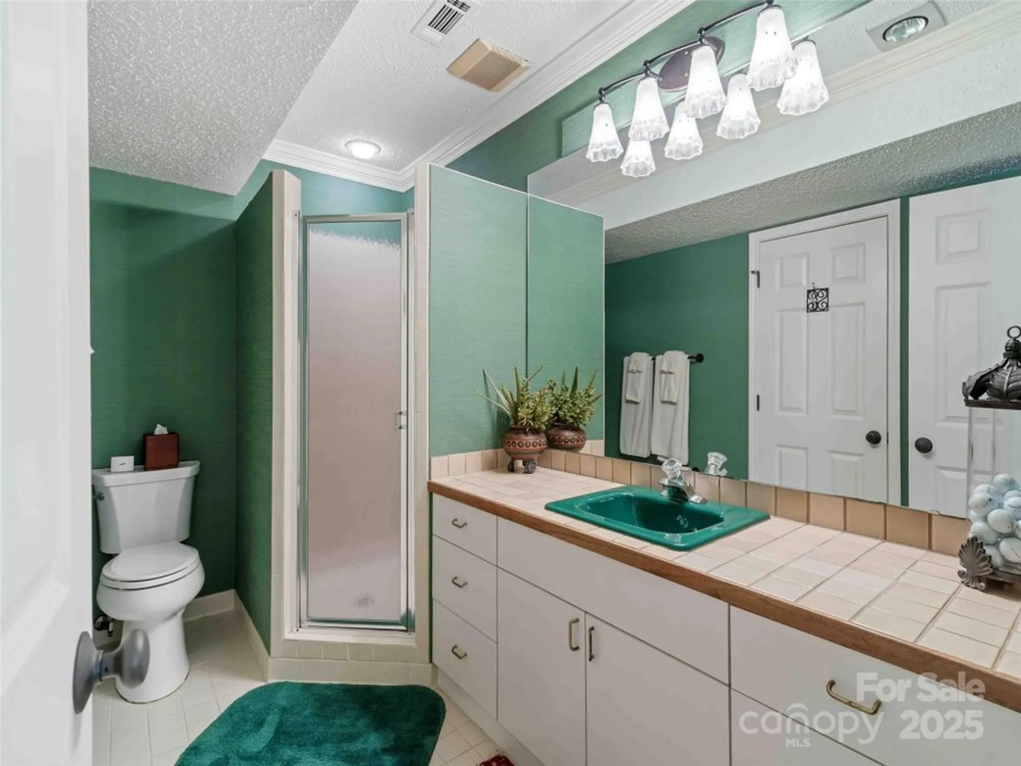 Property Slideshow image 32 of 48 | 161 winding meadows dr, Flat Rock, NC, 28731