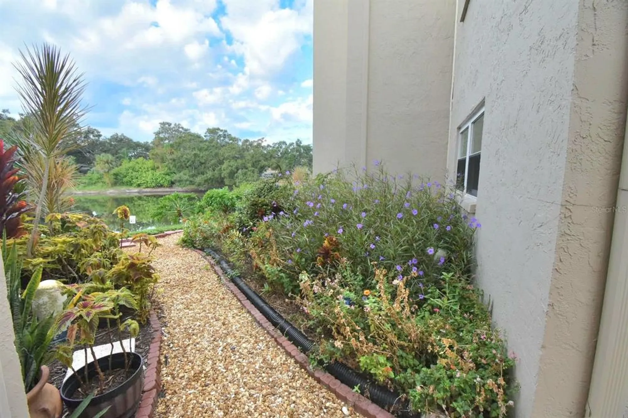 Property Slideshow image 22 of 30 | 948 virginia st apt 107, Dunedin, FL, 34698