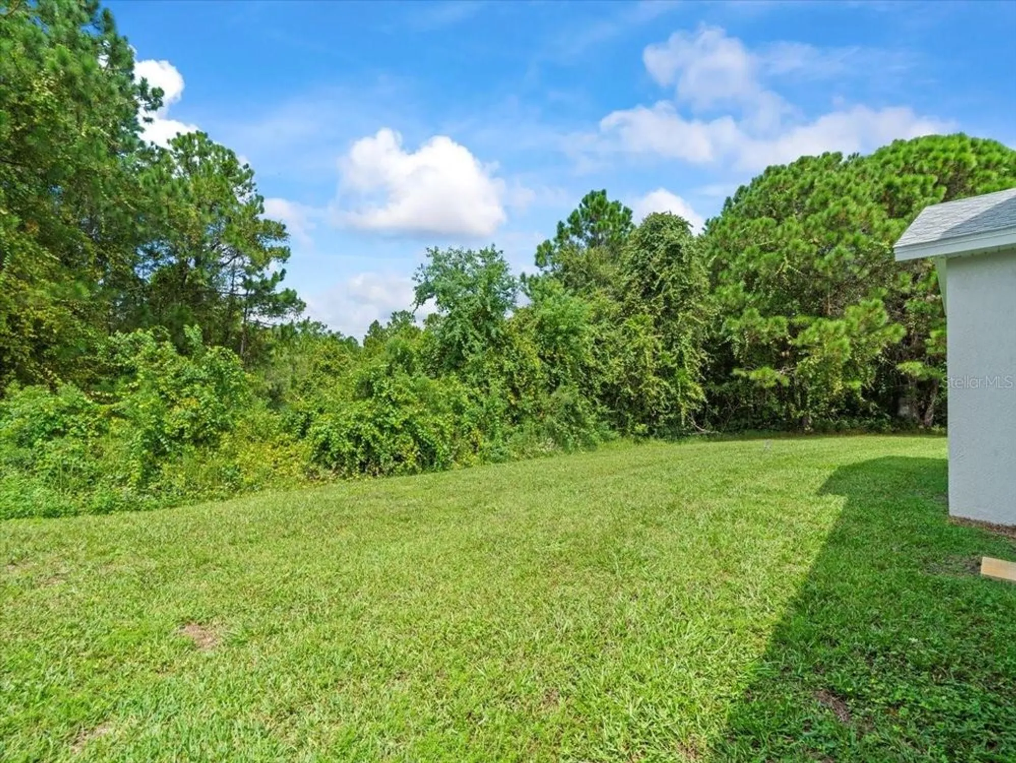 Property Slideshow image 47 of 55 | 10163 holly berry dr, Weeki Wachee, FL, 34613
