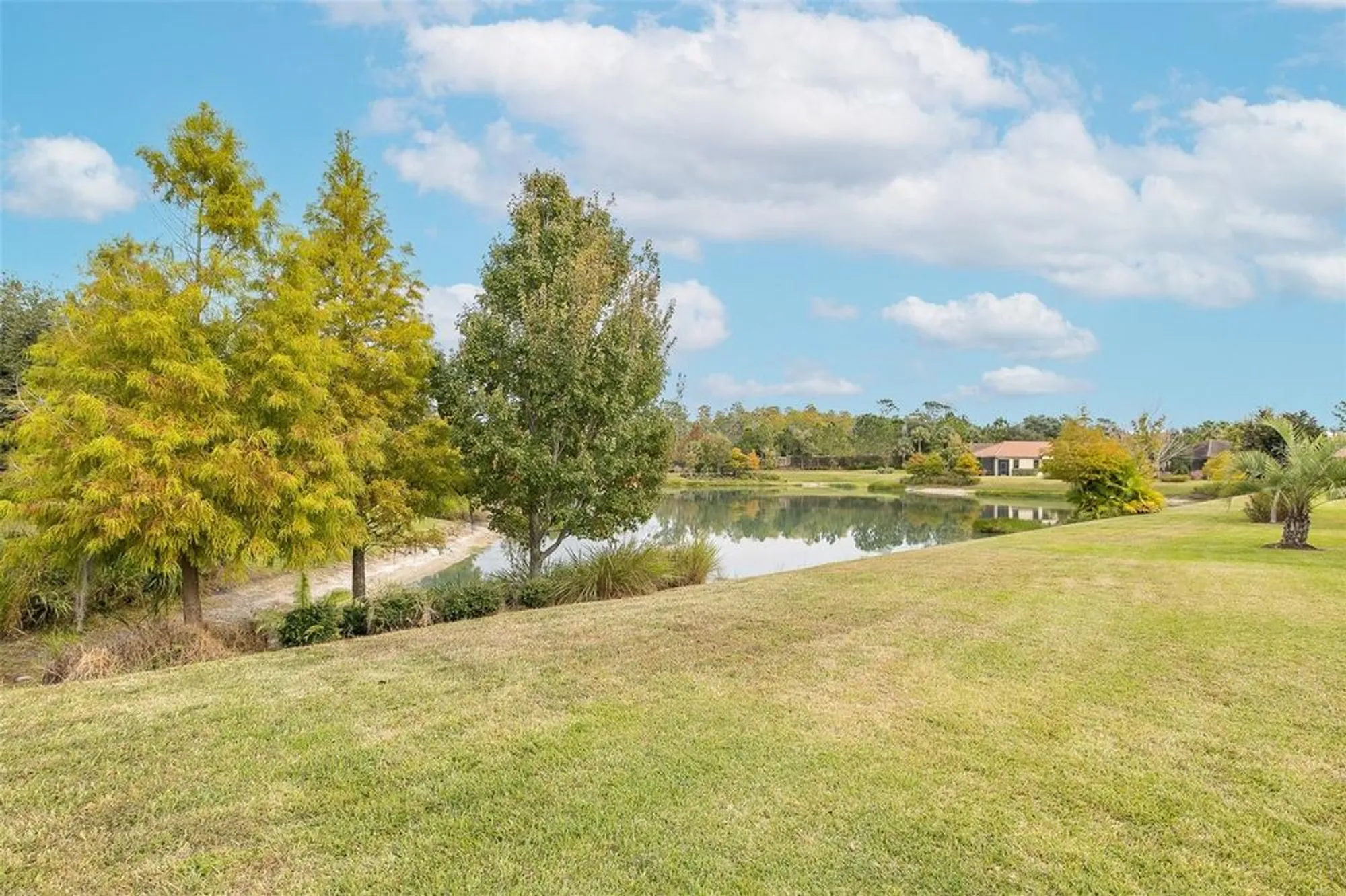 Property Slideshow image 59 of 100 | 11599 callisia dr, Odessa, FL, 33556