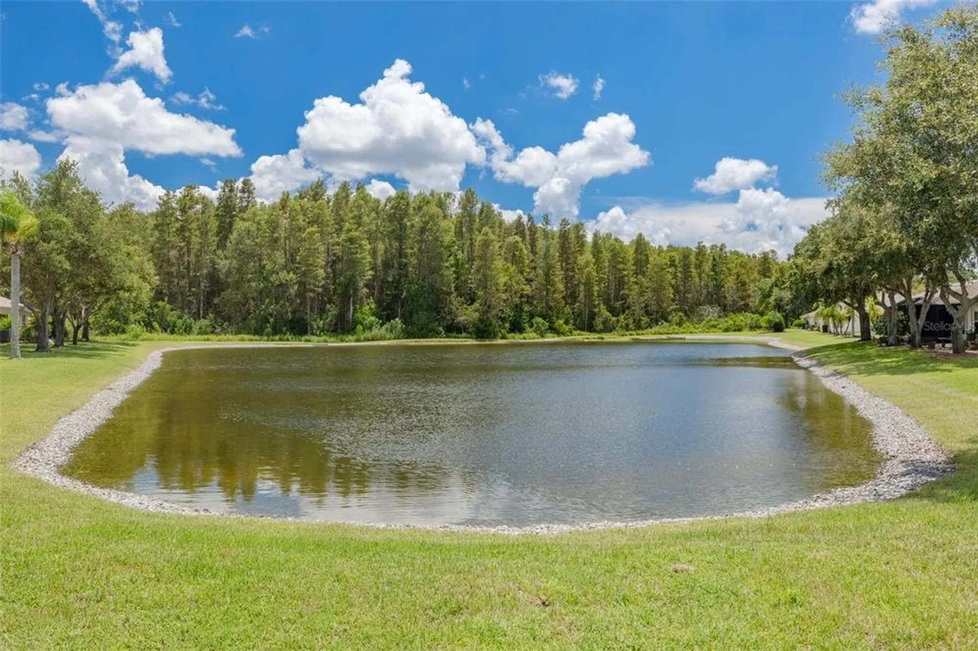 Property Slideshow image 31 of 39 | 1055 blyth hill ct, Trinity, FL, 34655