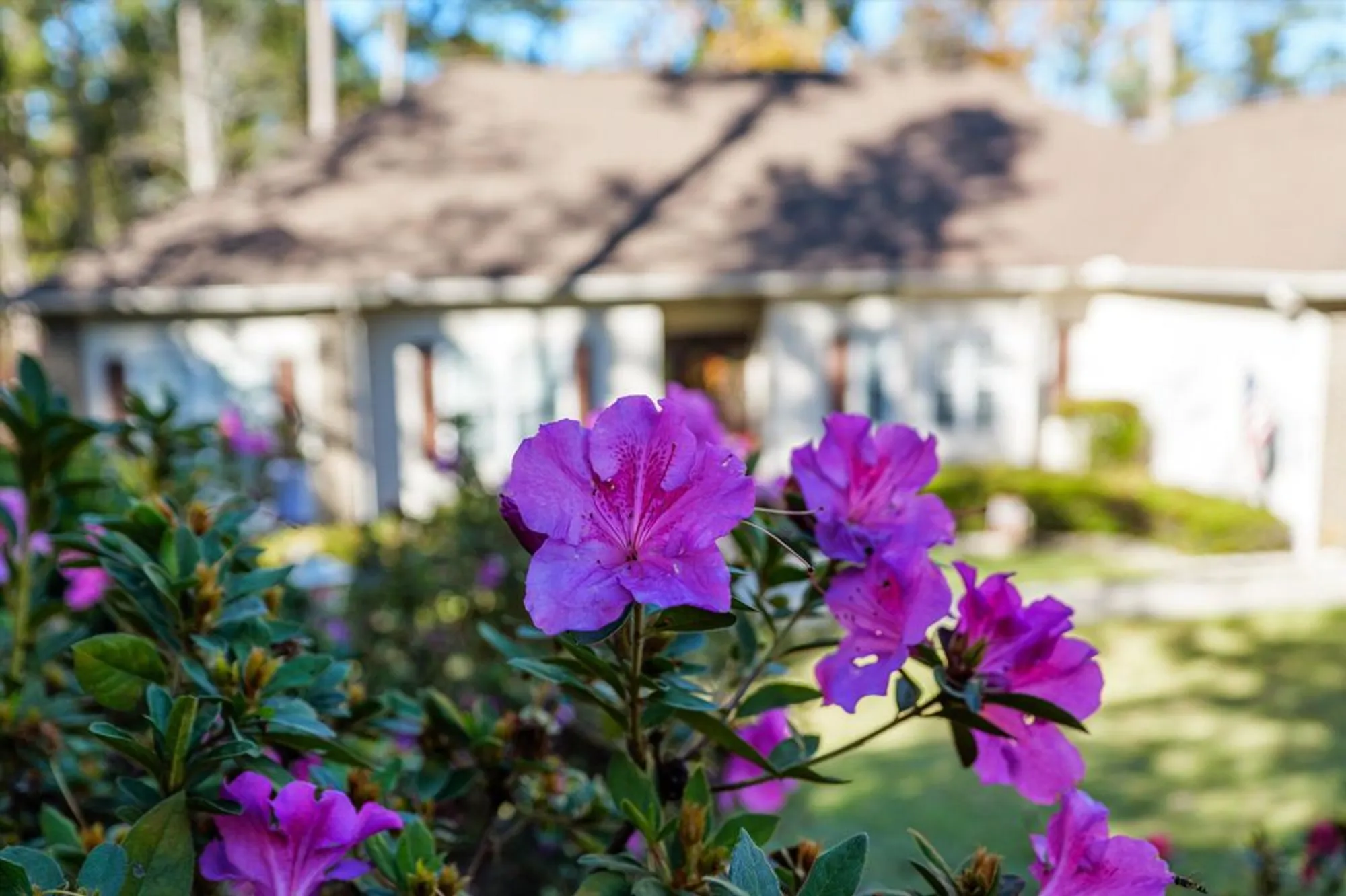 Property Slideshow image 10 of 72 | 214 butler pt, Mc Cormick, SC, 29835