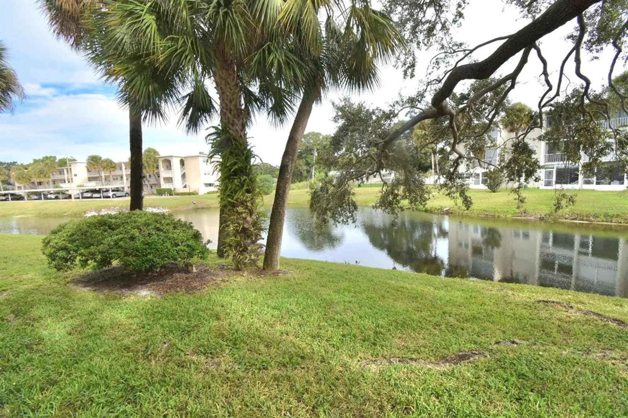 Property Slideshow image 8 of 50 | 940 virginia st 108, Dunedin, FL, 34698