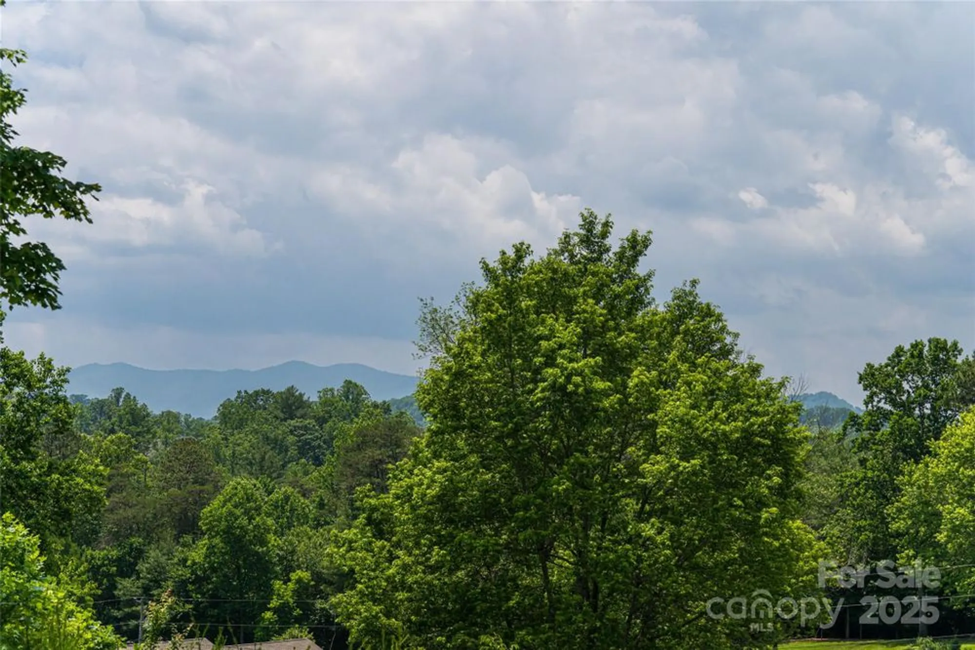 Property Slideshow image 37 of 48 | 91 greenwells glory dr, Biltmore Lake, NC, 28715