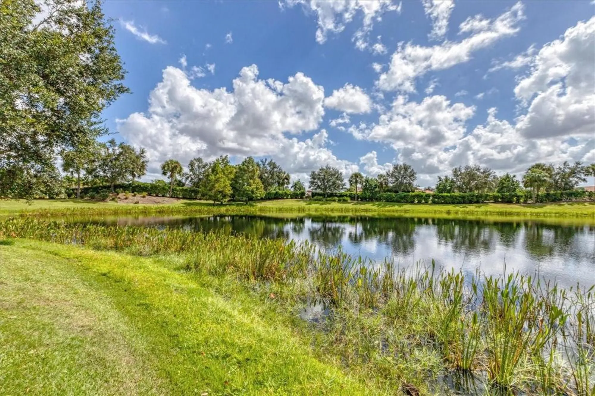 Property Slideshow image 9 of 86 | 13334 torresina ter, Bradenton, FL, 34211