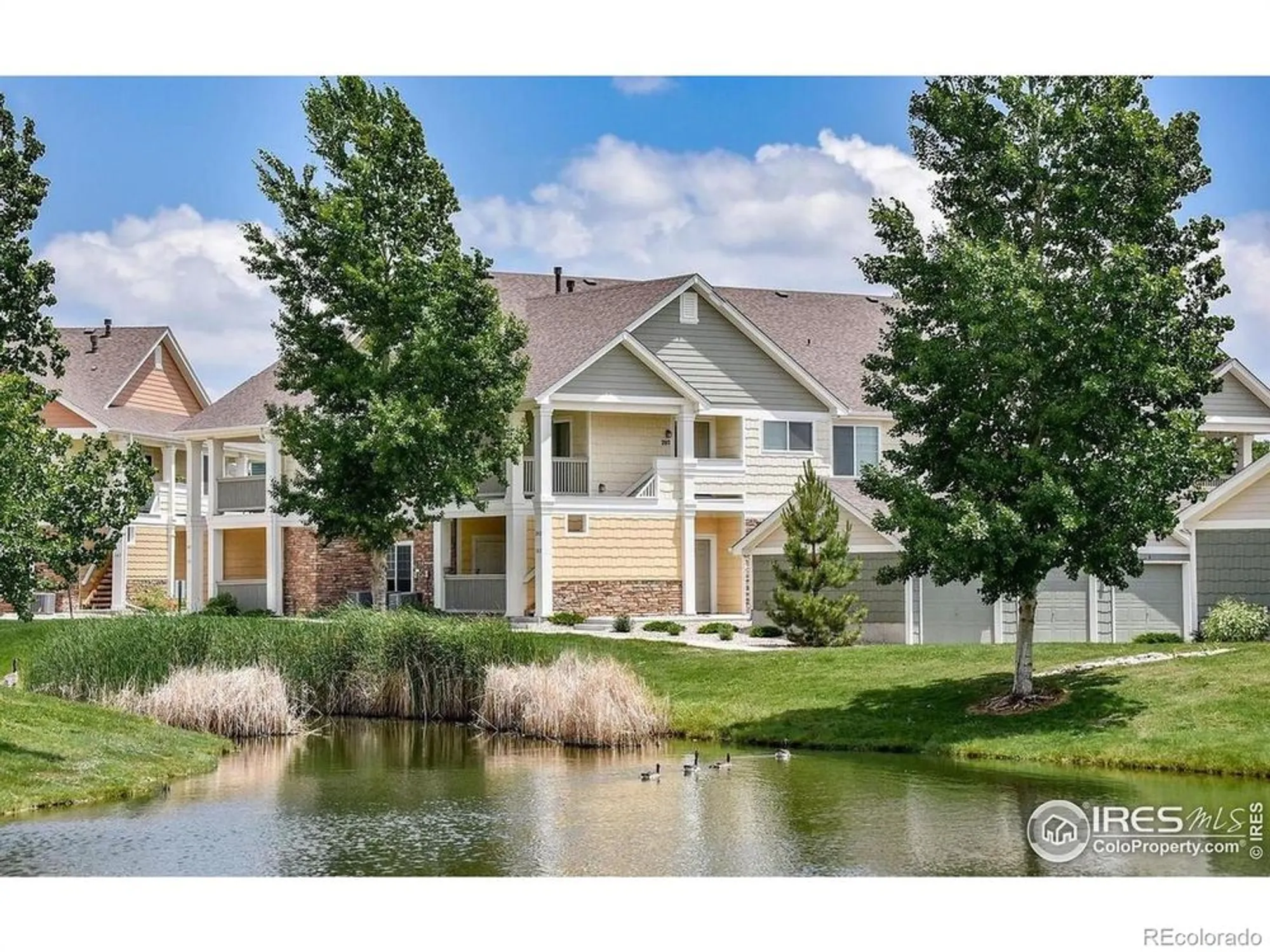 Property Slideshow image 1 of 20 | 4865 hahns peak dr apt 203, Loveland, CO, 80538