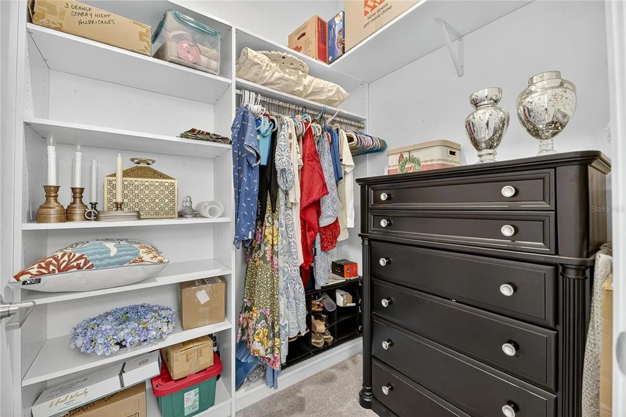 Property Slideshow image 13 of 96 | 5319 windy grove dr, Wimauma, FL, 33598