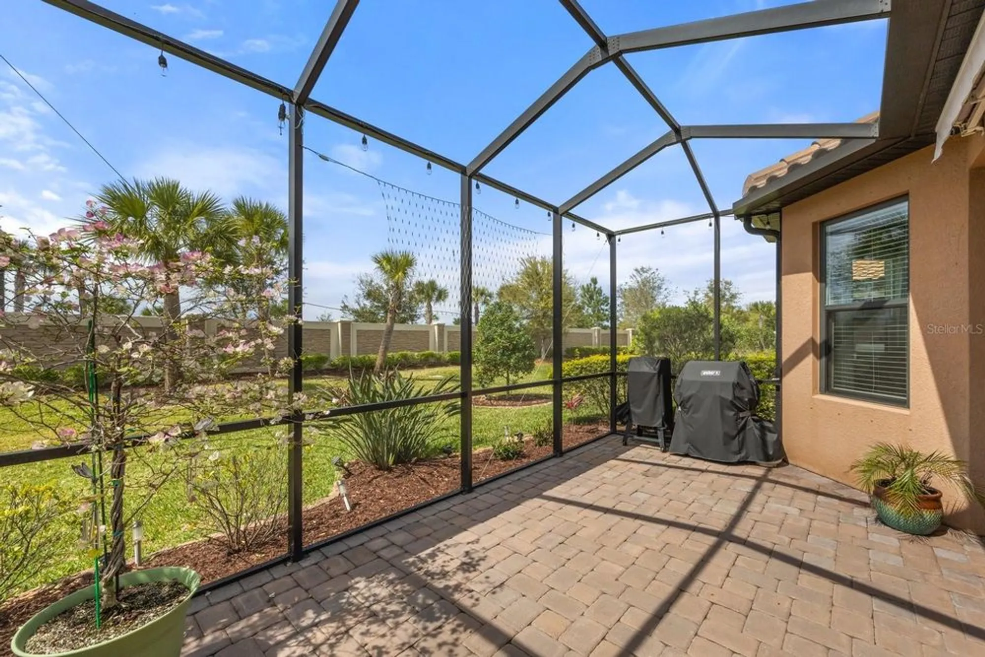 Property Slideshow image 35 of 57 | 11111 callisia dr, Odessa, FL, 33556