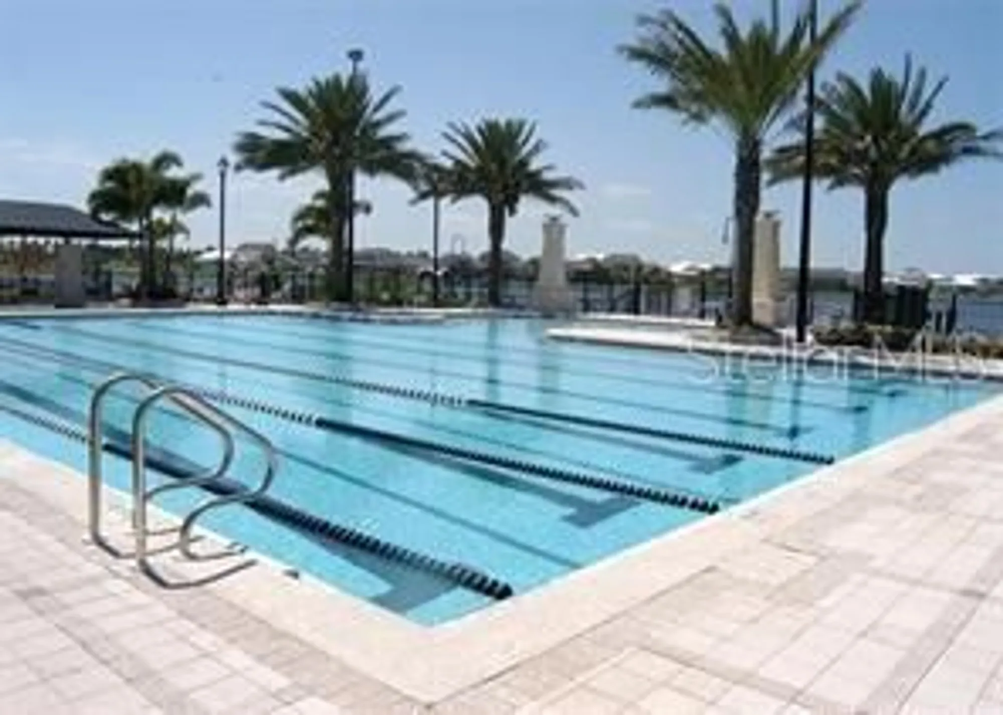 Property Slideshow image 92 of 100 | 625 mirabay blvd, Apollo Beach, FL, 33572