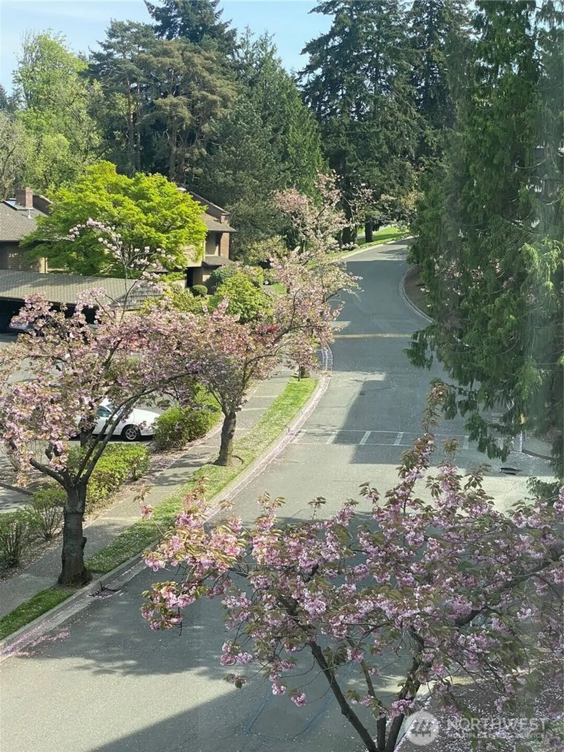 Property Slideshow image 12 of 23 | 10821 glen acres dr s c, Seattle, WA, 98168