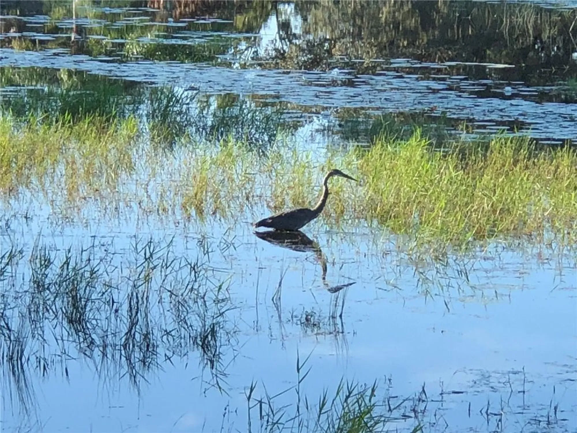 Property Slideshow image 93 of 100 | 25527 oak aly, Leesburg, FL, 34748