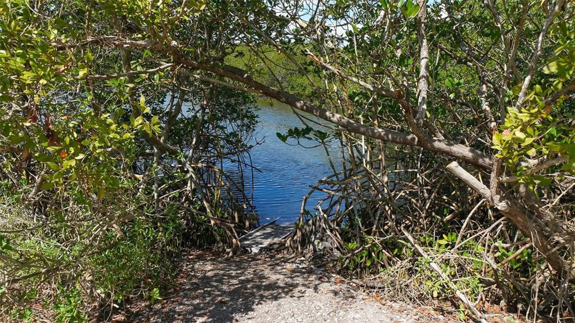 Property Slideshow image 63 of 72 | 1603 starling dr # 101, Sarasota, FL, 34231