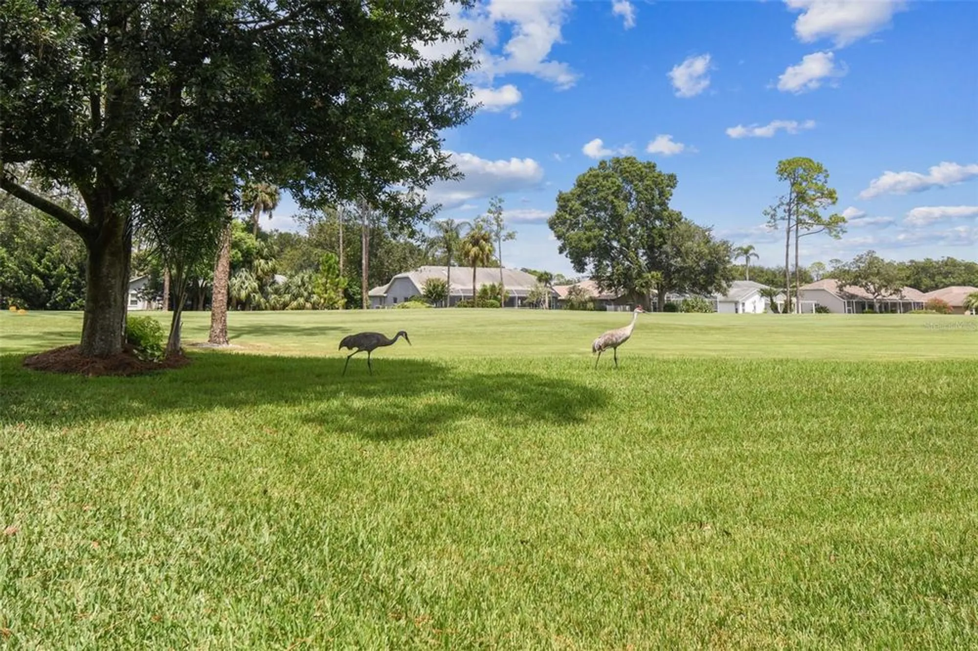 Property Slideshow image 64 of 86 | 8157 hidden hills dr, Spring Hill, FL, 34606