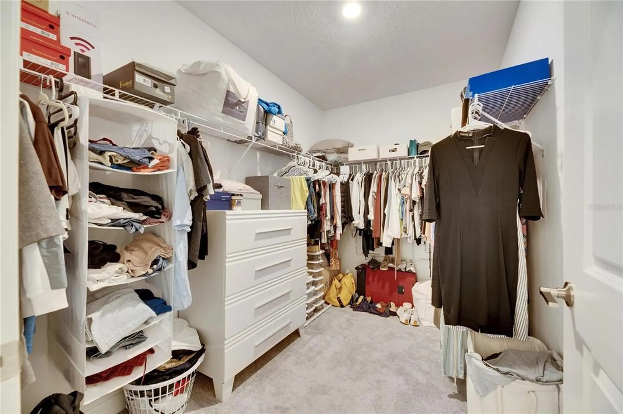 Property Slideshow image 41 of 100 | 17554 holly well ave, Wimauma, FL, 33598