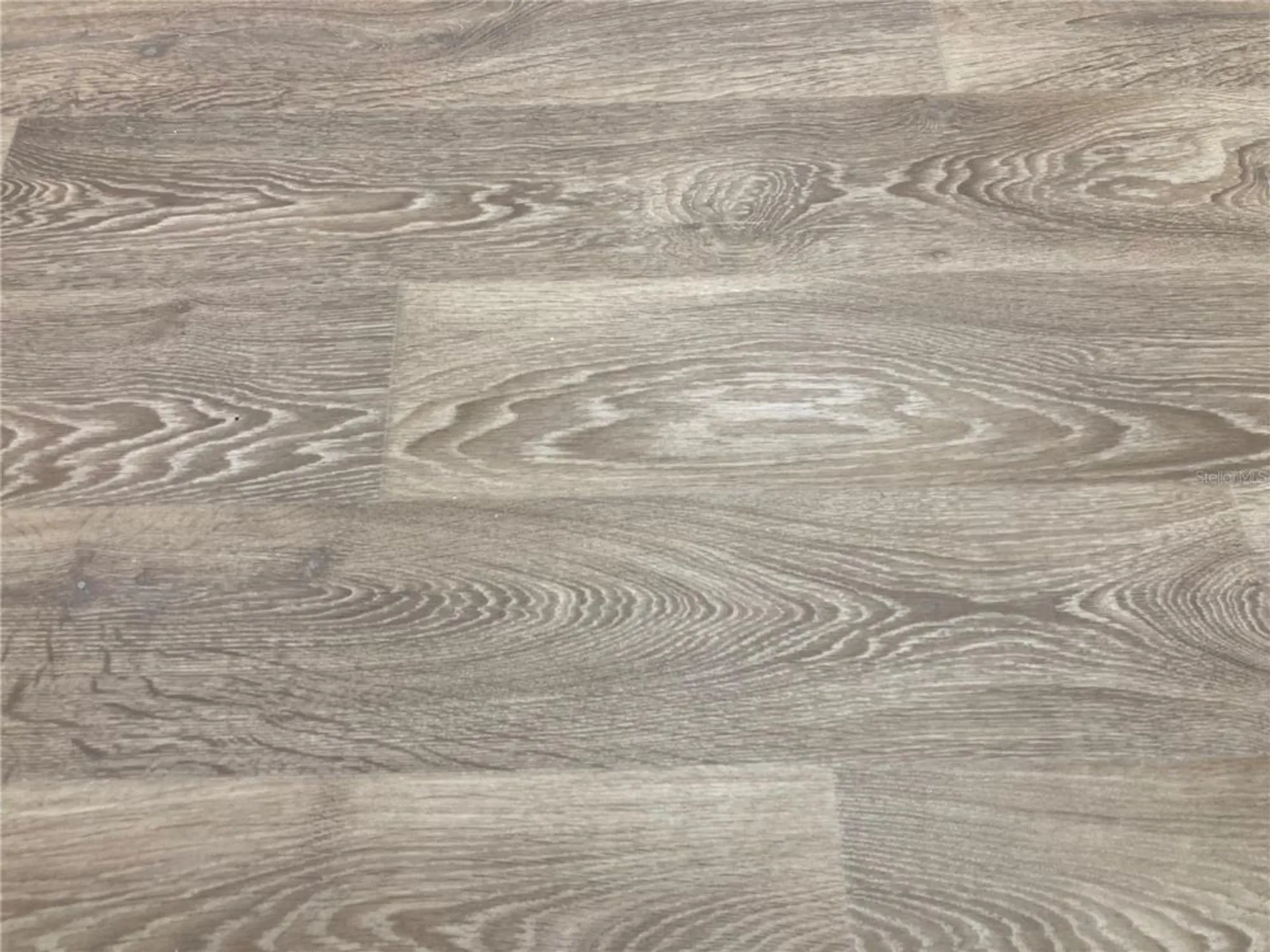 Property Slideshow image 24 of 83 | 280 last mango dr, Daytona Beach, FL, 32124