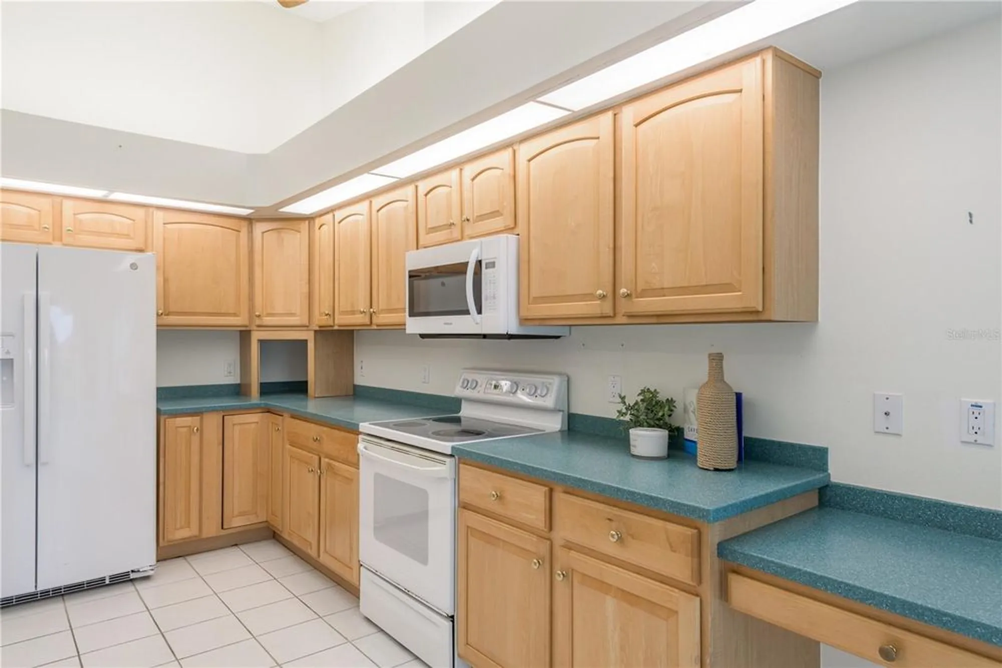 Property Slideshow image 20 of 49 | 1251 rambling vine ct, Trinity, FL, 34655