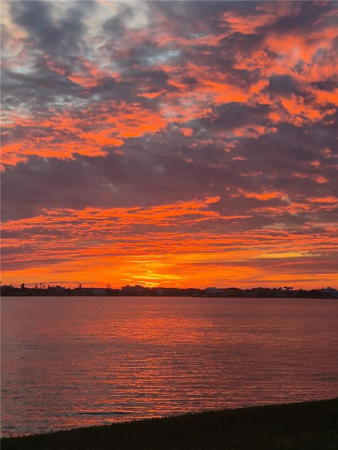 Property Slideshow image 20 of 30 | 4750 cove cir apt 303, St Petersburg, FL, 33708