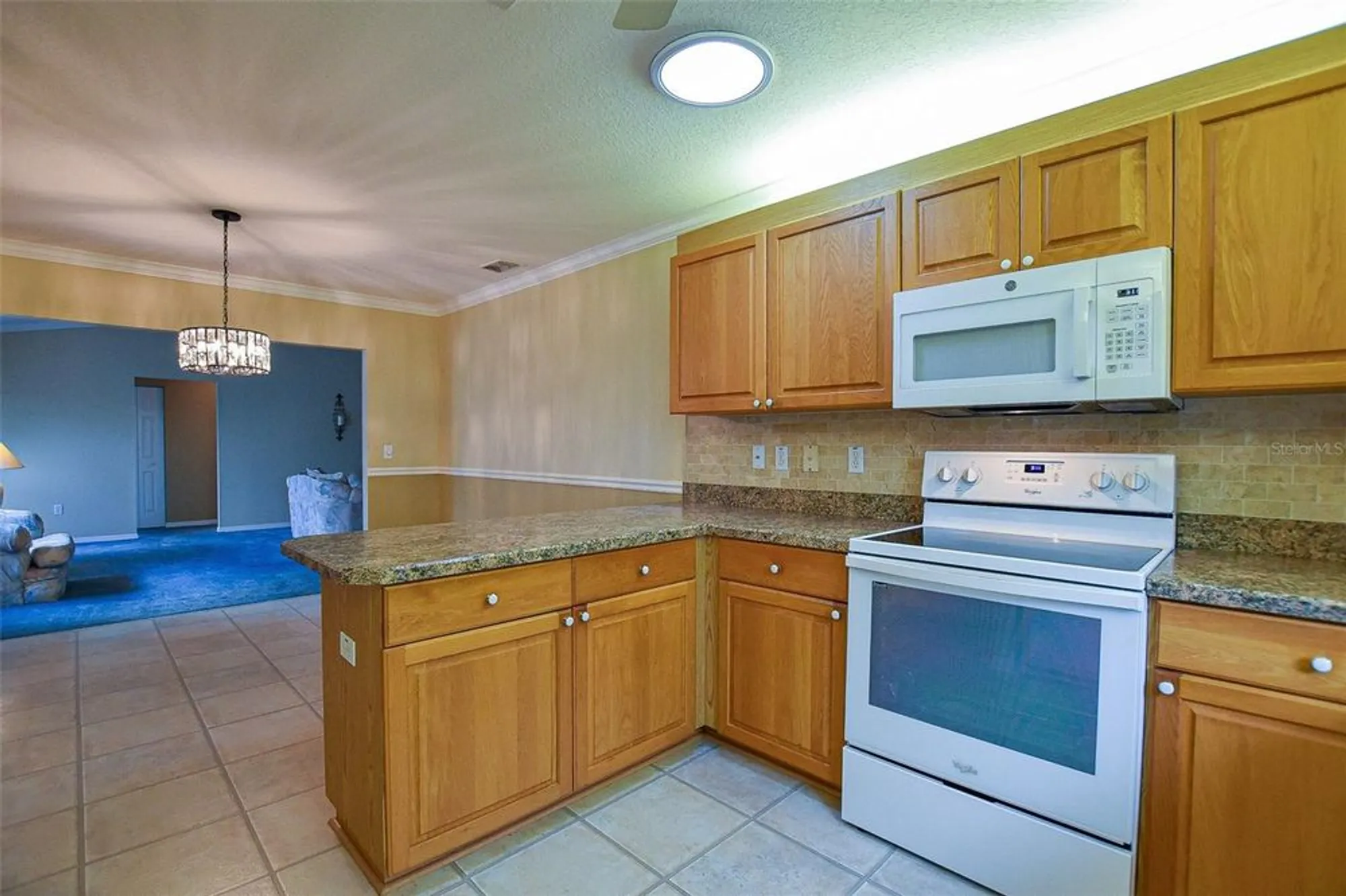 Property Slideshow image 34 of 83 | 9033 se 135th loop, Summerfield, FL, 34491