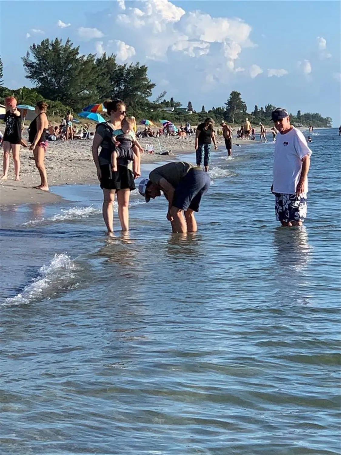 Property Slideshow image 74 of 76 | 418 cerromar ct 261, Venice, FL, 34293