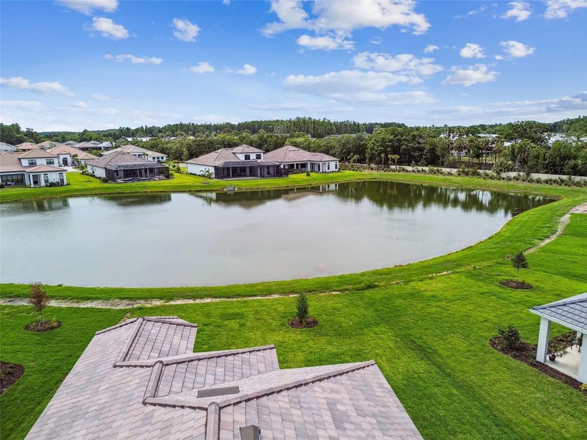 Property Slideshow image 56 of 100 | 4709 isonzo way, Wesley Chapel, FL, 33543