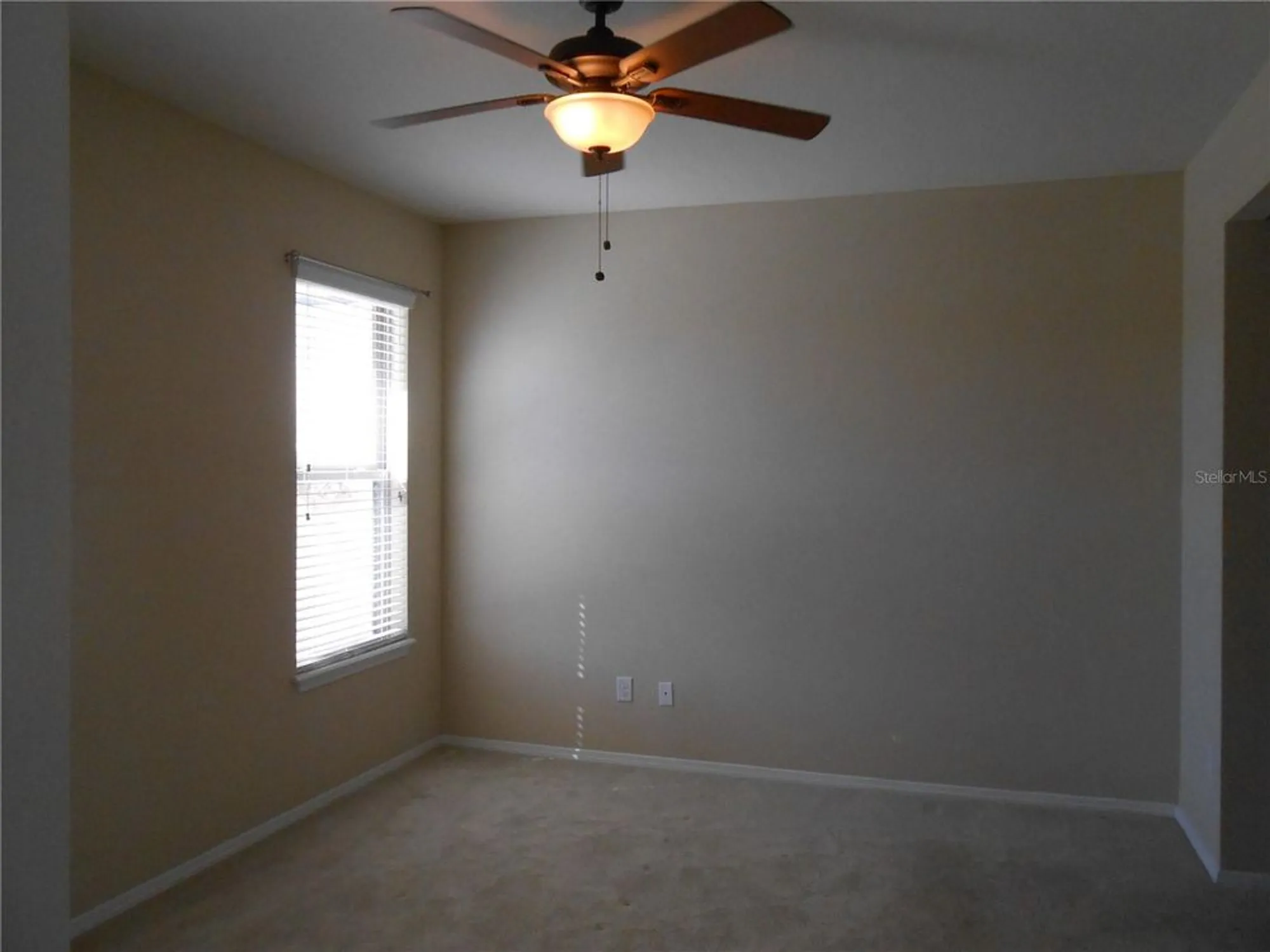 Property Slideshow image 53 of 61 | 344 mystic falls dr, Apollo Beach, FL, 33572
