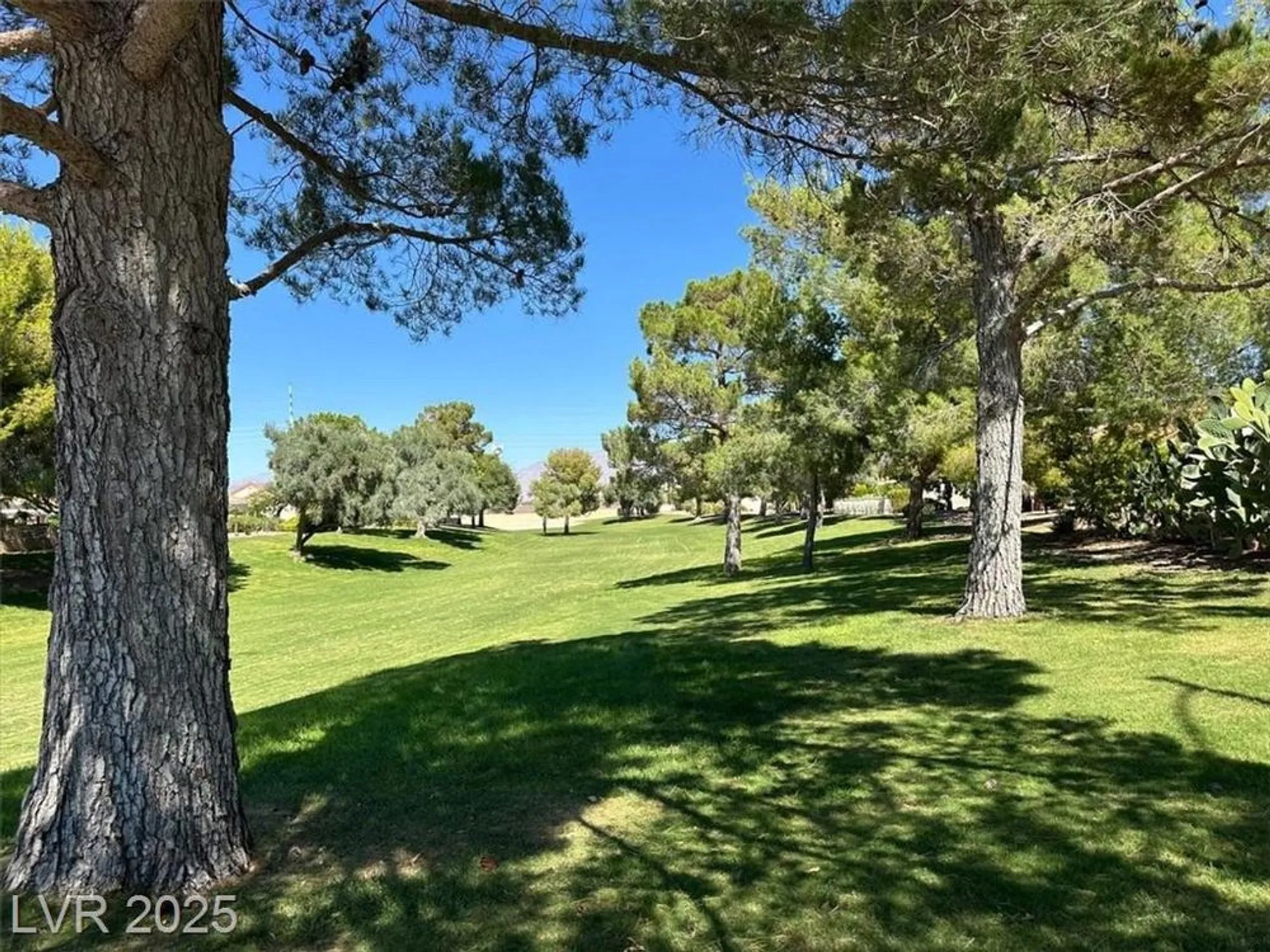 Property Slideshow image 29 of 43 | 3109 goodnews ct, Las Vegas, NV, 89134