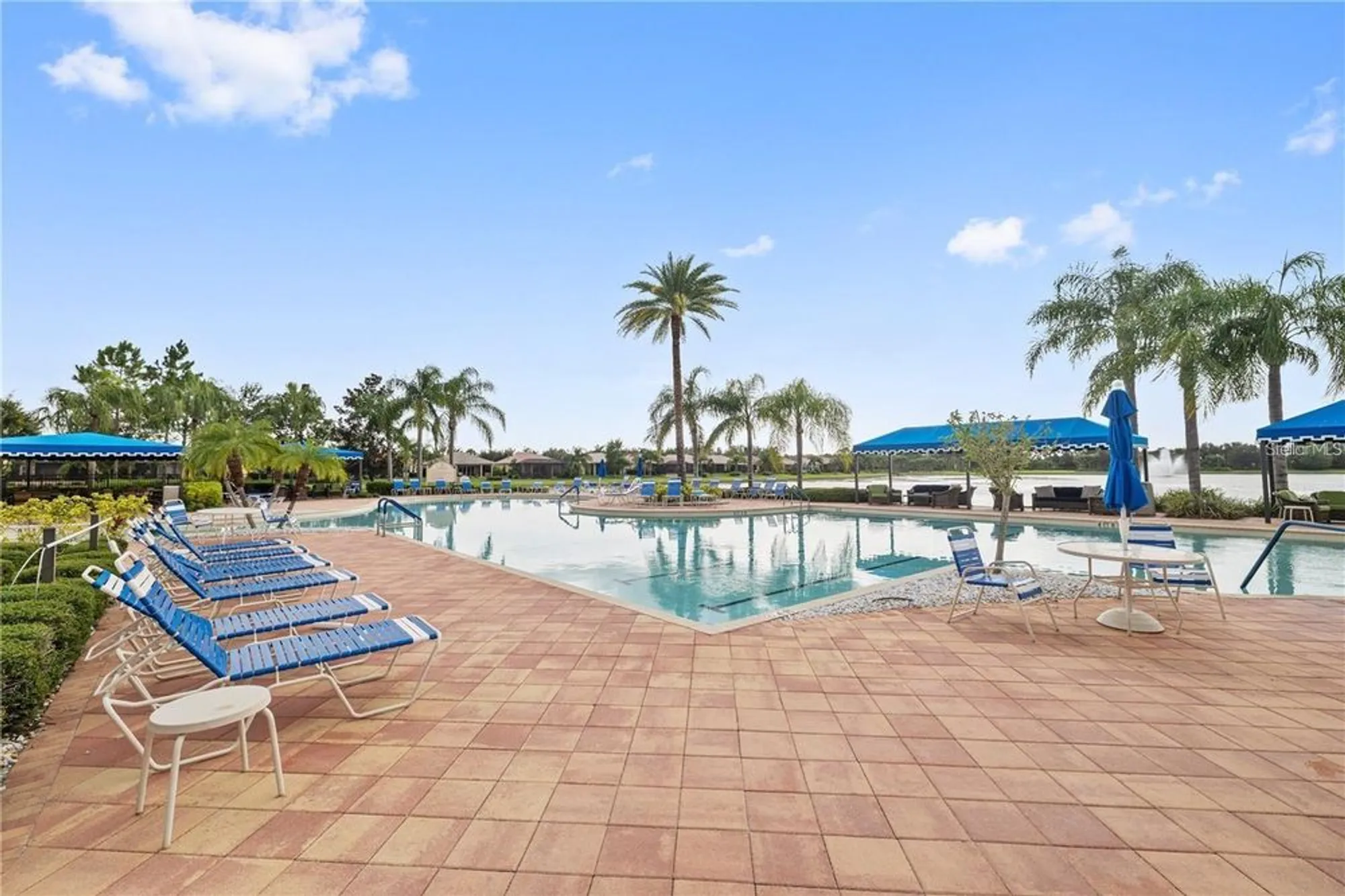Property Slideshow image 62 of 75 | 15909 cape coral dr, Wimauma, FL, 33598