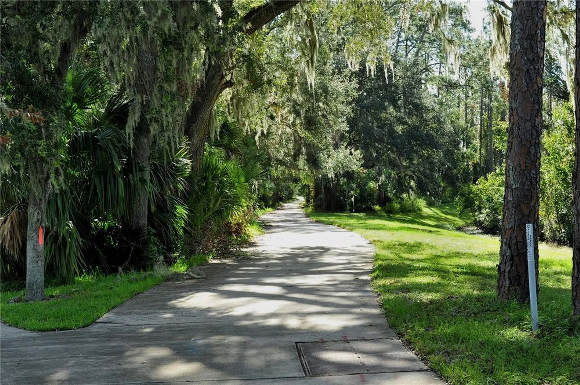 Property Slideshow image 61 of 79 | 3611 marisol ct, New Smyrna Beach, FL, 32168