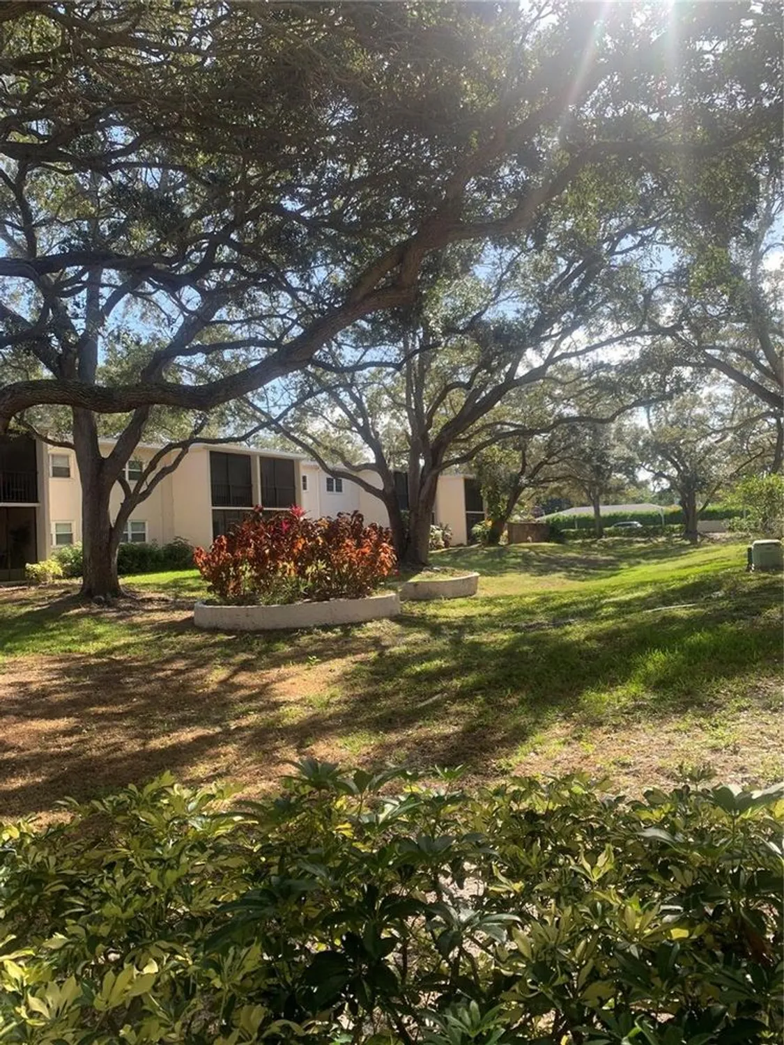 Property Slideshow image 44 of 52 | 840 virginia st 108, Dunedin, FL, 34698