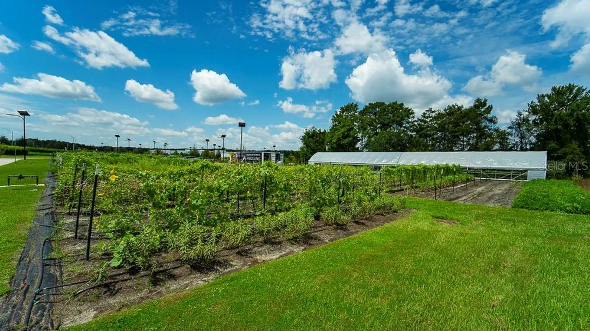 Property Slideshow image 70 of 71 | 10982 banyan breeze blvd, Land O Lakes, FL, 34638