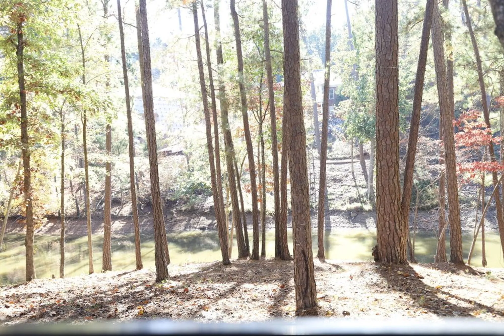 Property Slideshow image 40 of 45 | 170 grandview dr, Mc Cormick, SC, 29835