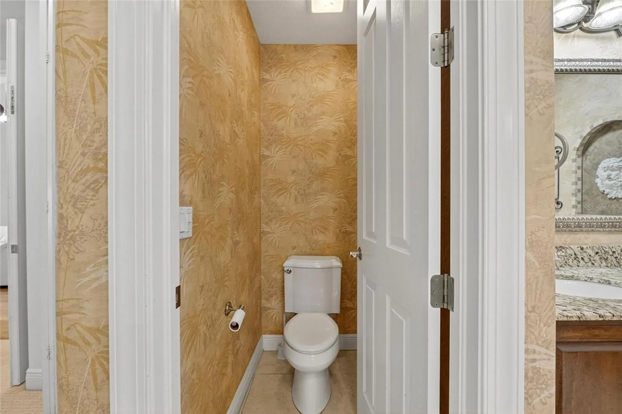 Property Slideshow image 53 of 98 | 517 mirabay blvd, Apollo Beach, FL, 33572