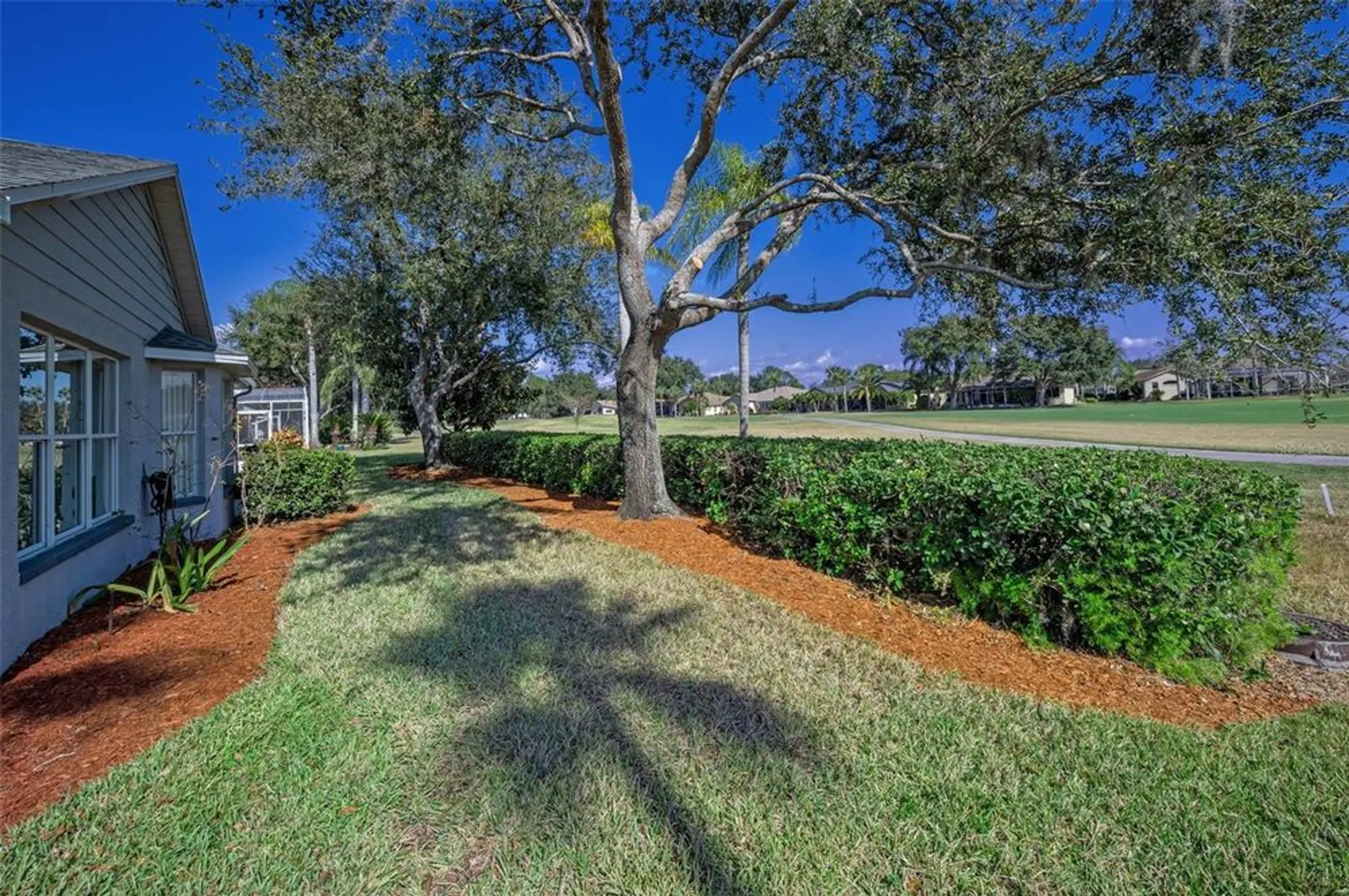Property Slideshow image 43 of 100 | 1136 almondwood dr, Trinity, FL, 34655