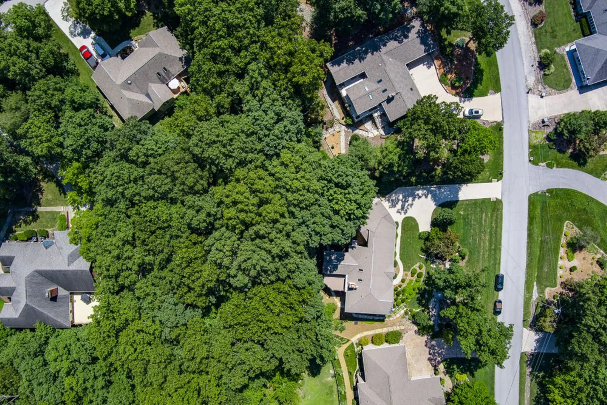 Property Slideshow image 52 of 56 | 16 belvedere ln, Crossville, TN, 38558