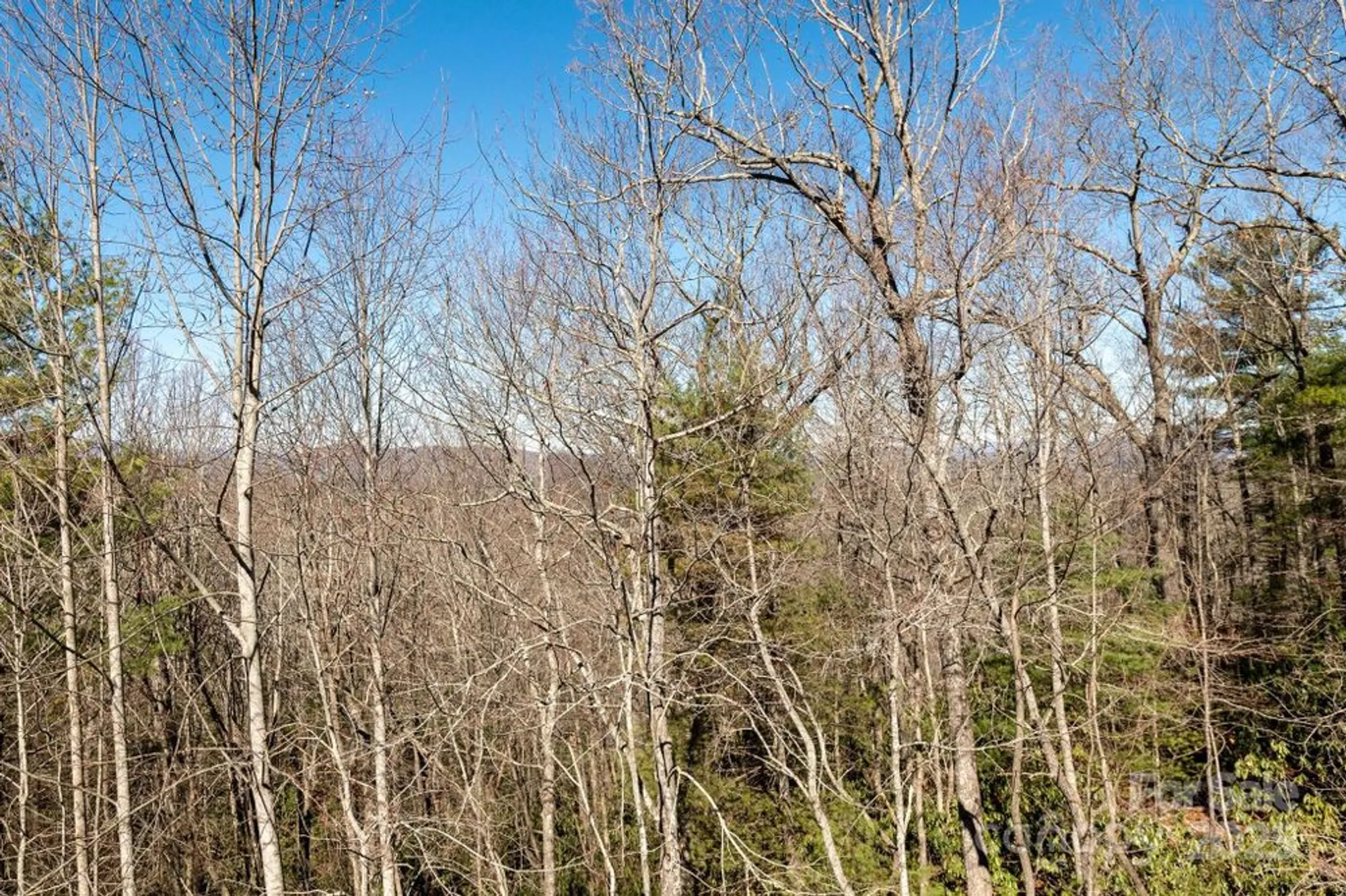 Property Slideshow image 33 of 41 | 155 poplar loop dr, Flat Rock, NC, 28731