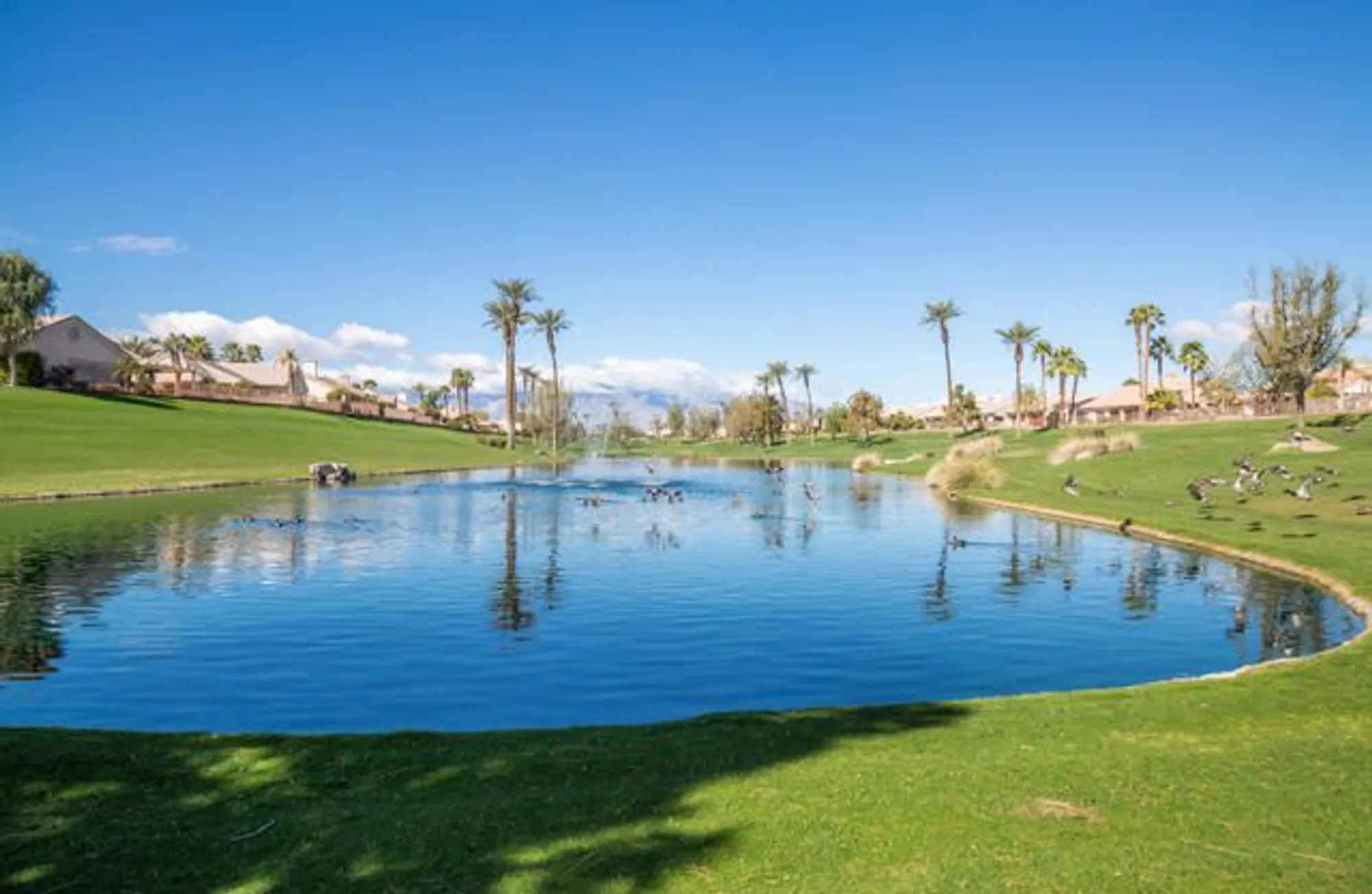 Property Slideshow image 38 of 39 | 38781 brandywine ave, Palm Desert, CA, 92211