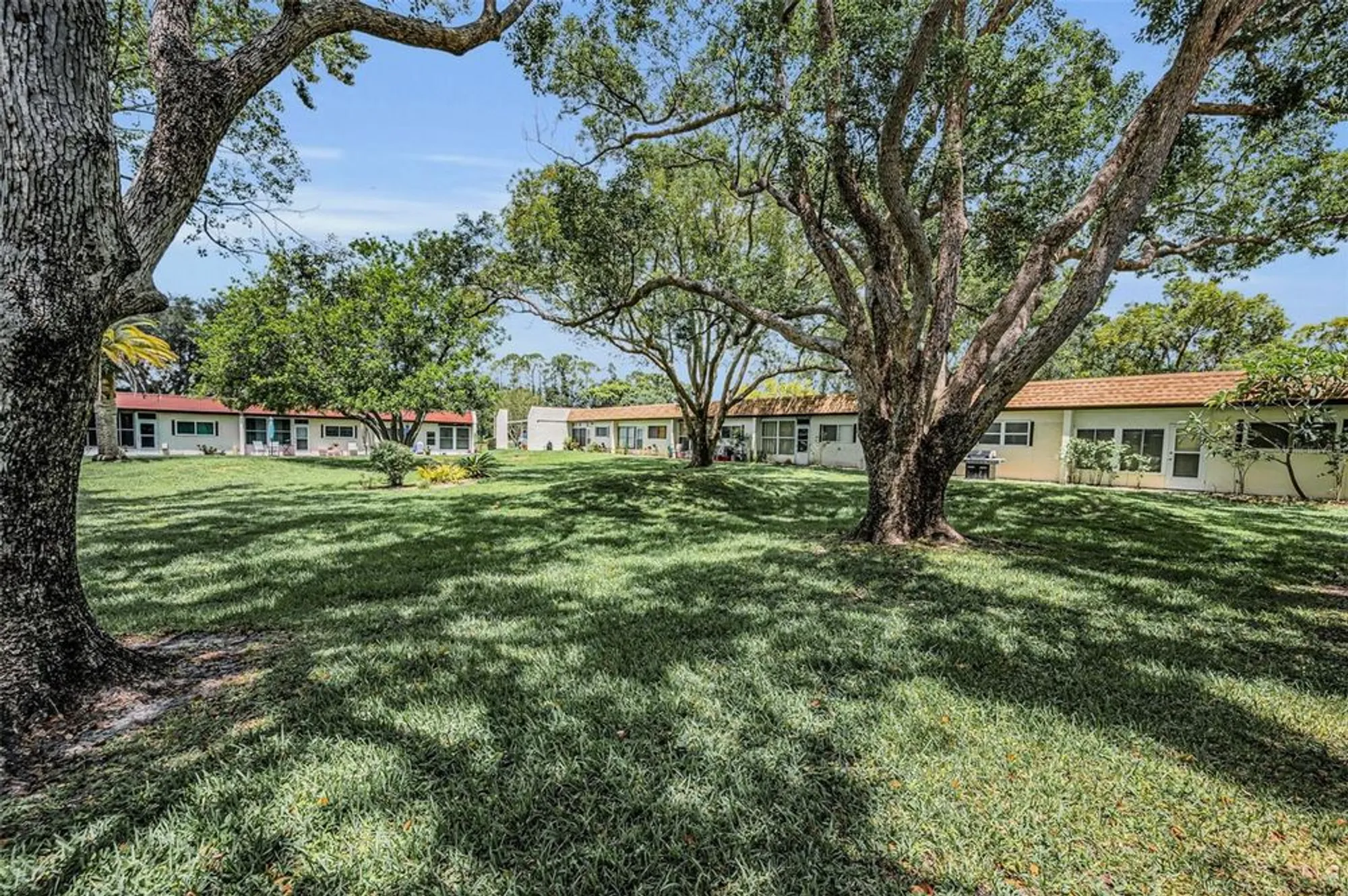 Property Slideshow image 38 of 56 | 3116 highlands blvd # 3116, Palm Harbor, FL, 34684