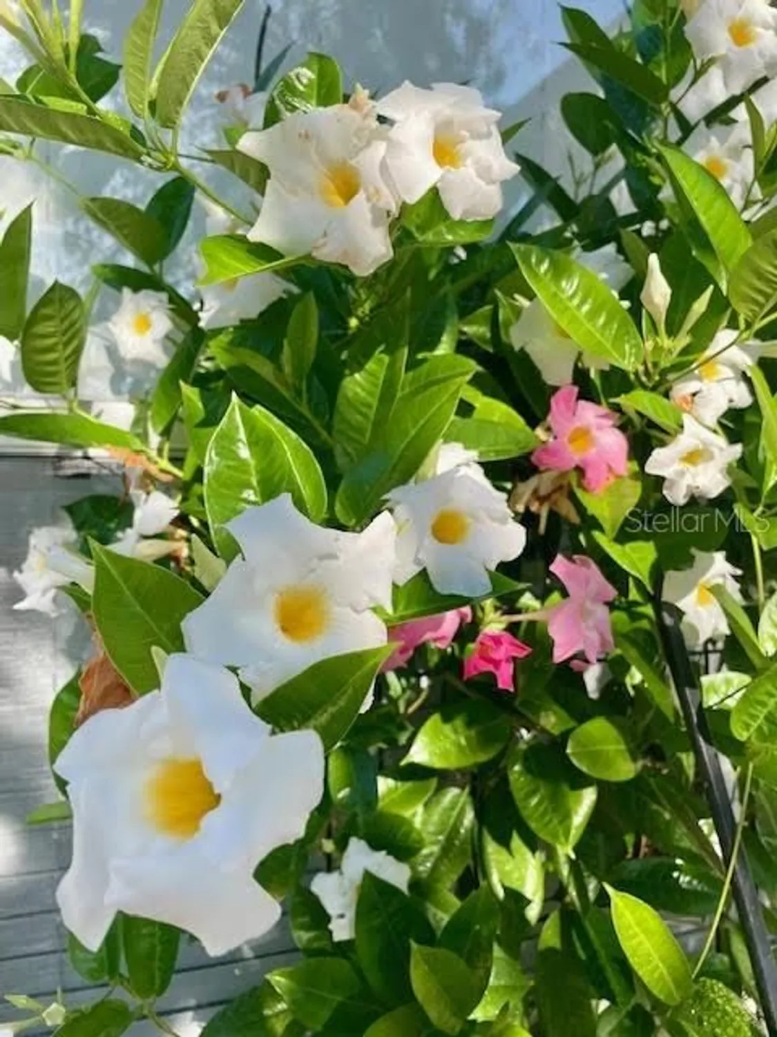 Property Slideshow image 38 of 45 | 17694 se 84th peyton ct, The Villages, FL, 32162