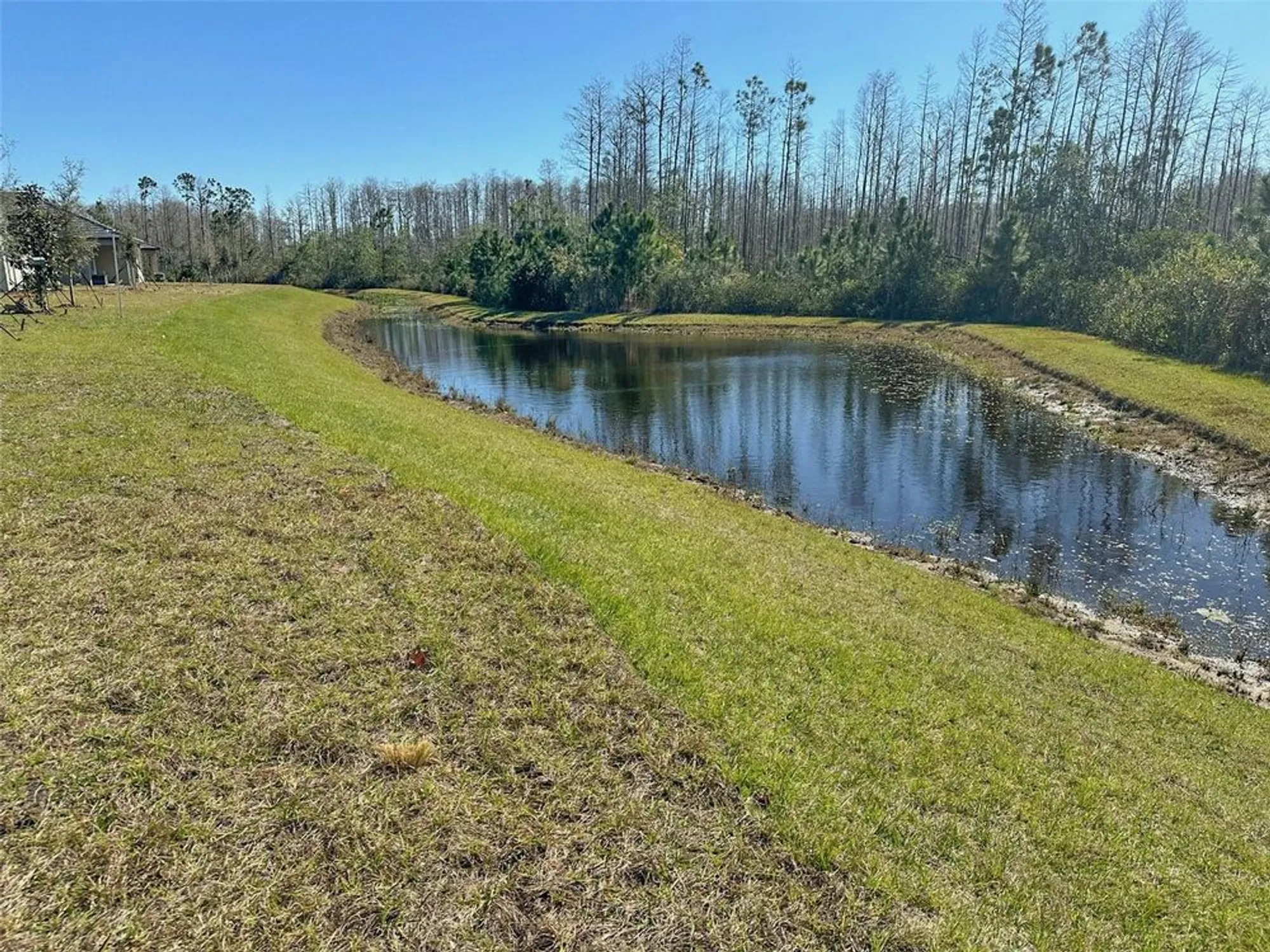 Property Slideshow image 45 of 90 | 17216 mango shay ct, Land O Lakes, FL, 34638