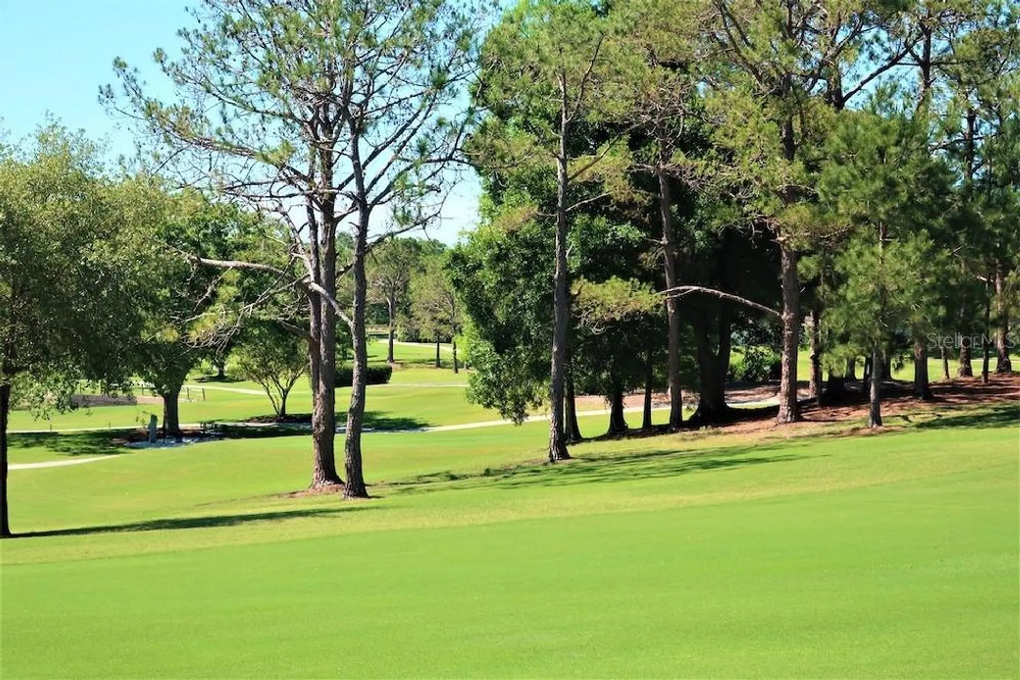 Property Slideshow image 54 of 79 | 3681 ridgemont ct, Palm Harbor, FL, 34684