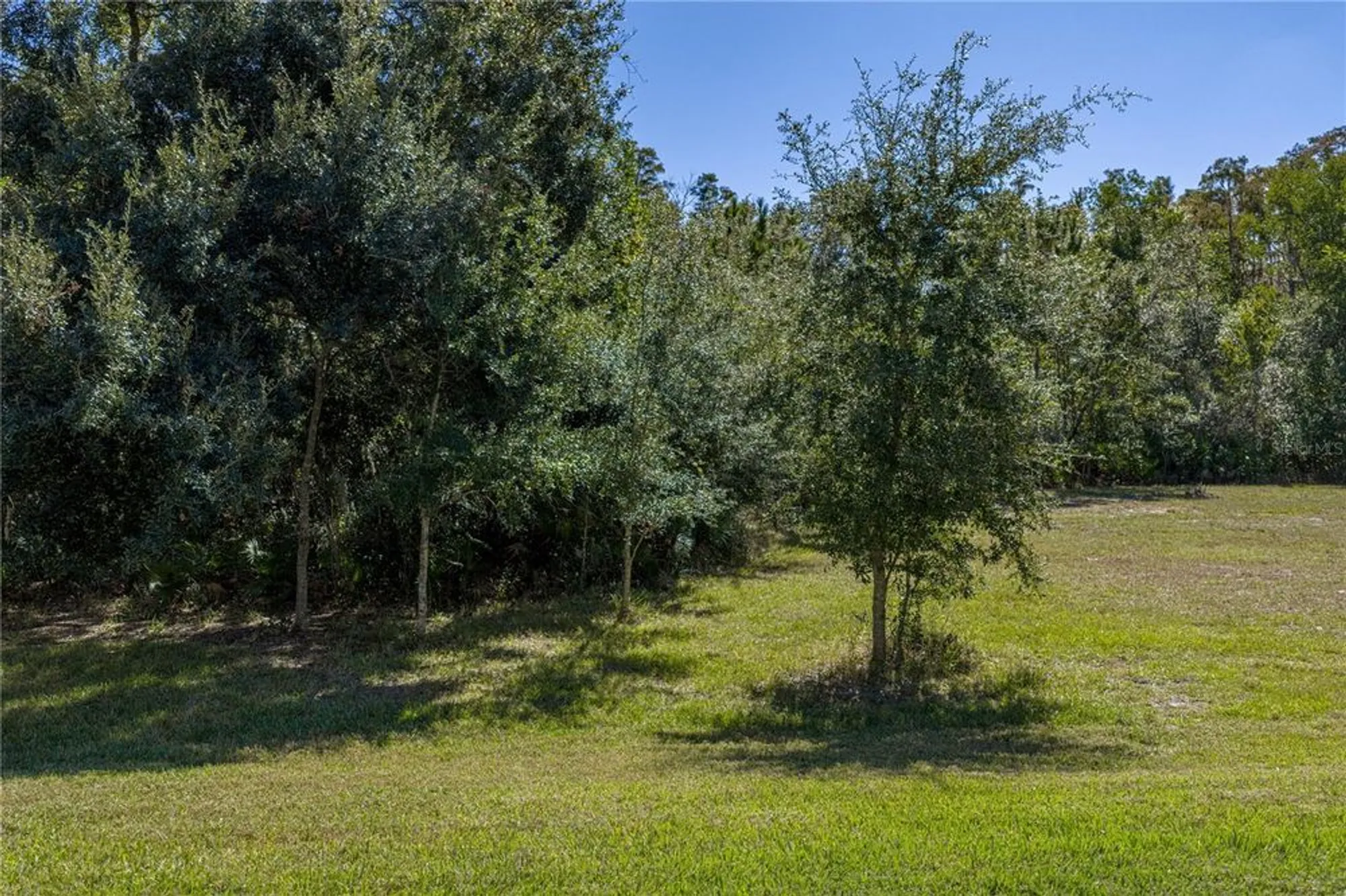 Property Slideshow image 51 of 92 | 9617 rolling cir, San Antonio, FL, 33576