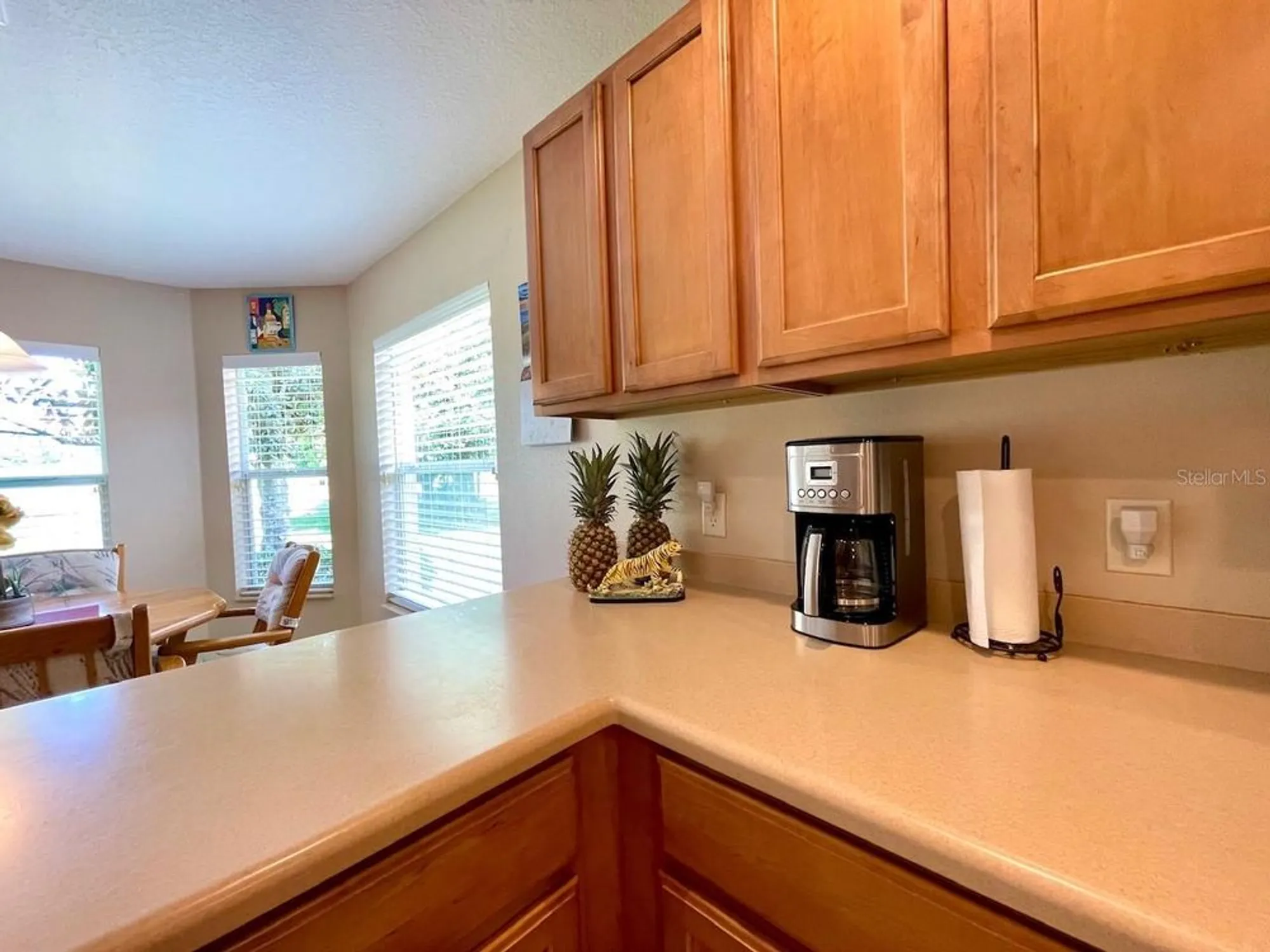 Property Slideshow image 31 of 79 | 16026 sw 14th avenue rd, Ocala, FL, 34473