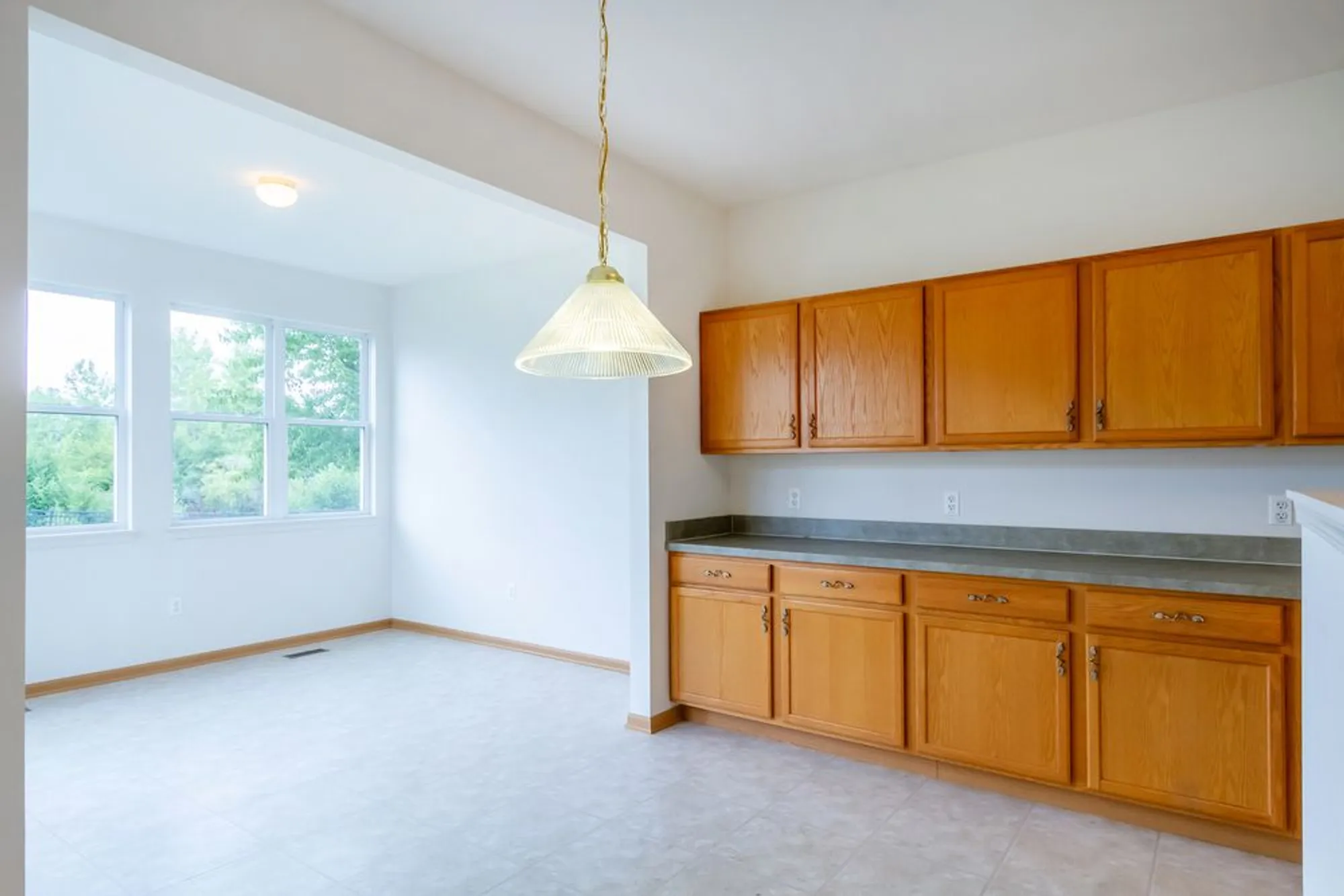 Property Slideshow image 10 of 28 | 1508 w ludington cir, Romeoville, IL, 60446