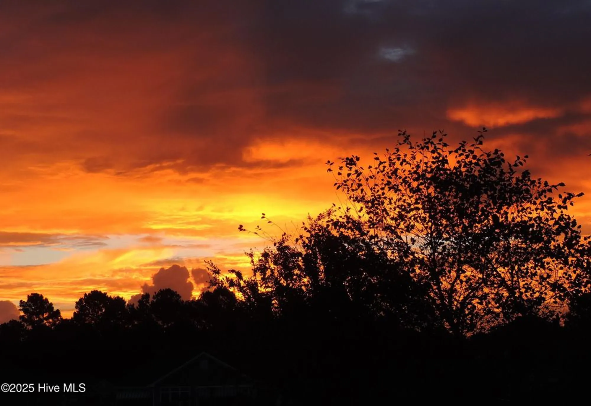 Property Slideshow image 51 of 83 | 2170 talmage dr, Leland, NC, 28451