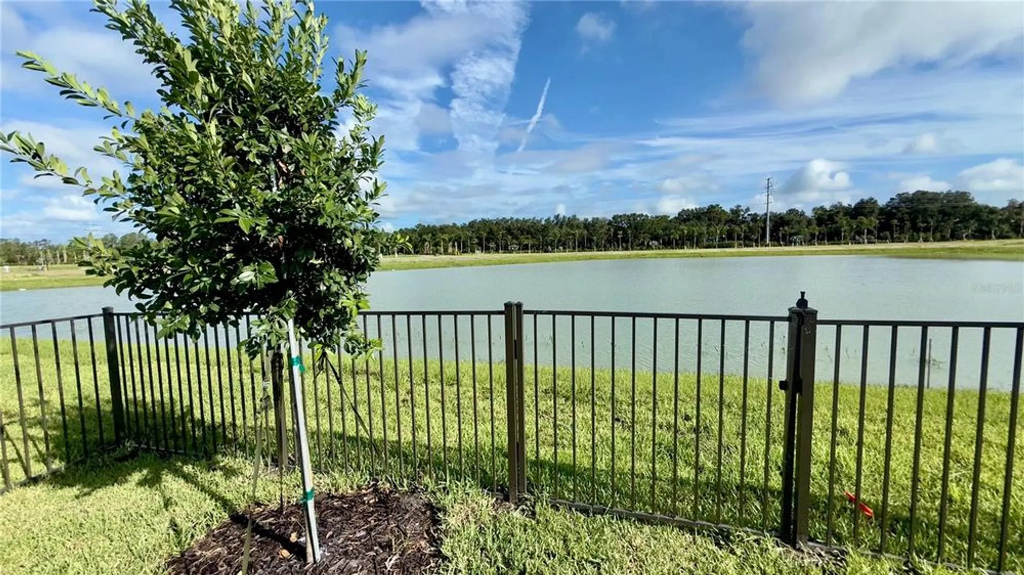 Property Slideshow image 38 of 52 | 32523 neroli st, Wesley Chapel, FL, 33543