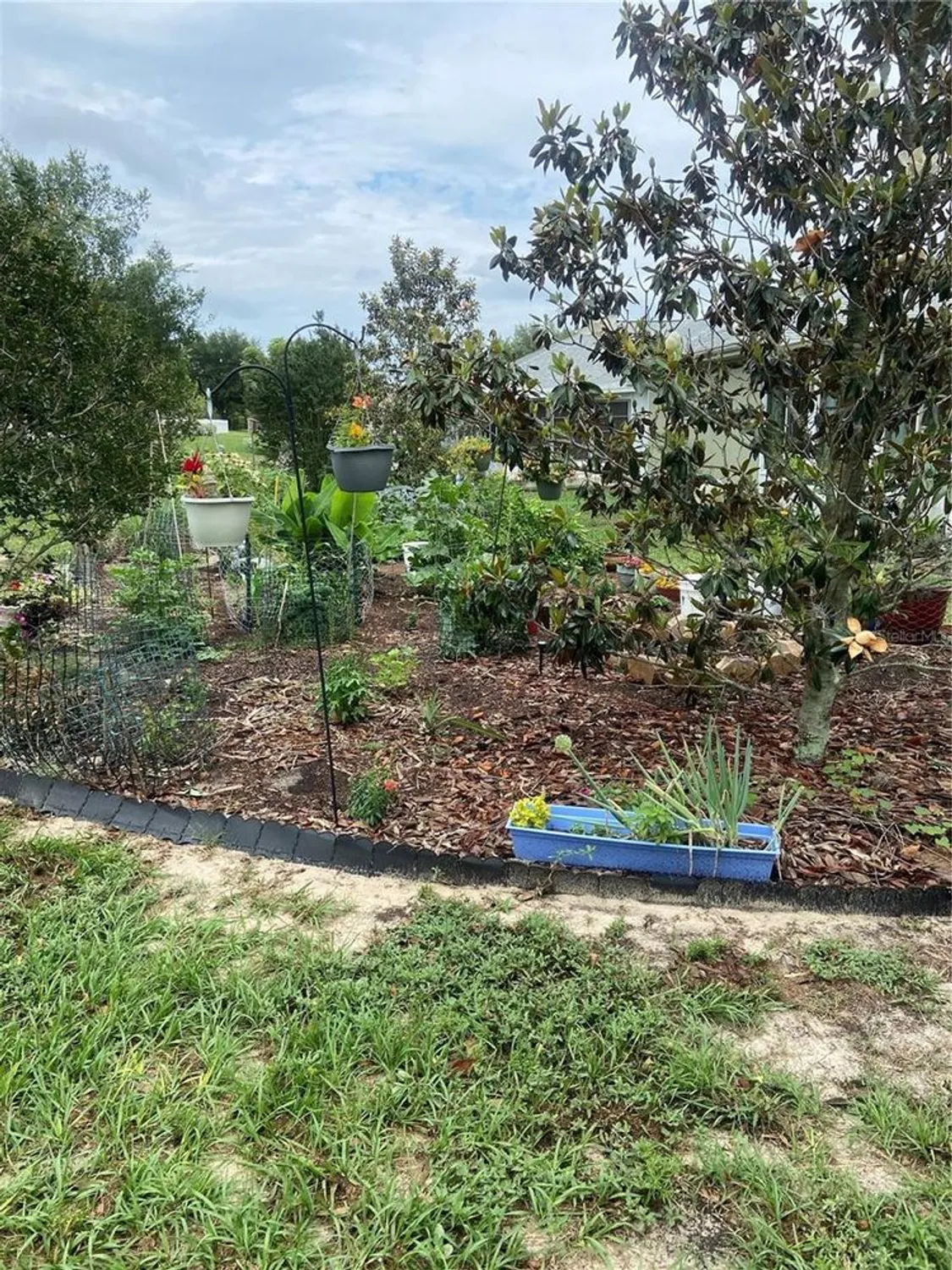 Property Slideshow image 10 of 23 | 9771 sw 97th ln, Ocala, FL, 34481