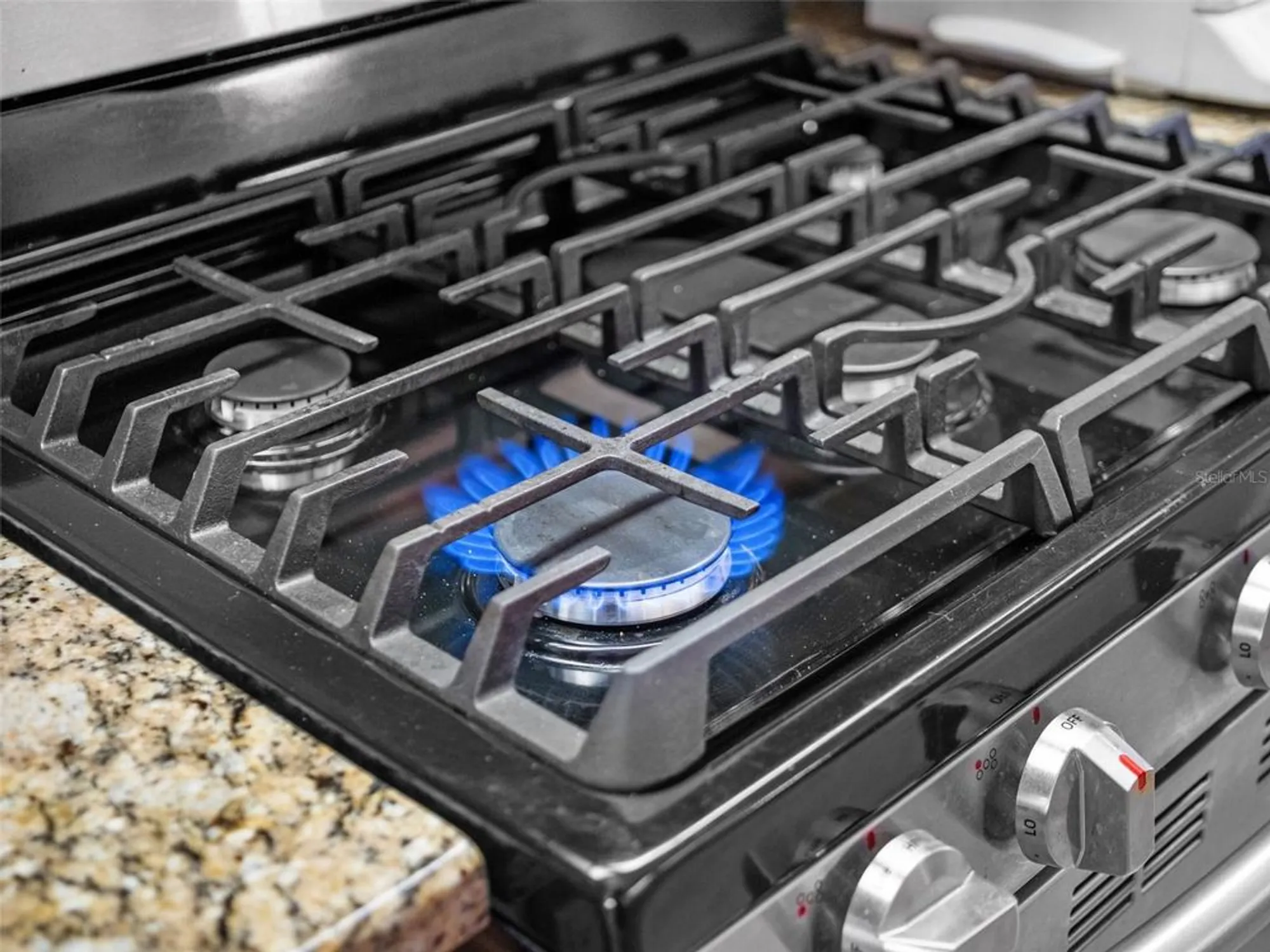 Property Slideshow image 14 of 61 | 4814 saint andrews arc, Leesburg, FL, 34748