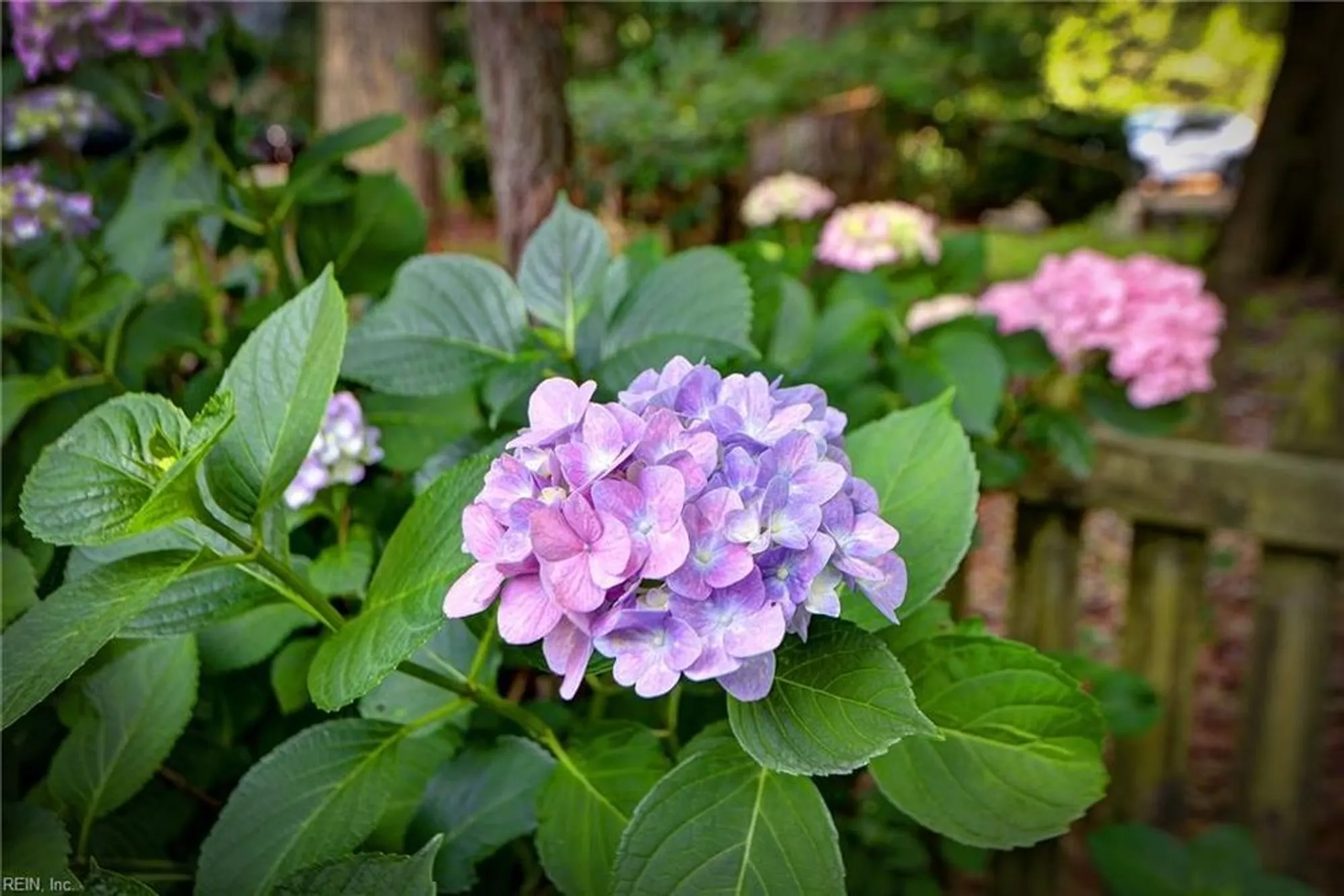 Property Slideshow image 41 of 49 | 207 william barksdale, Williamsburg, VA, 23185